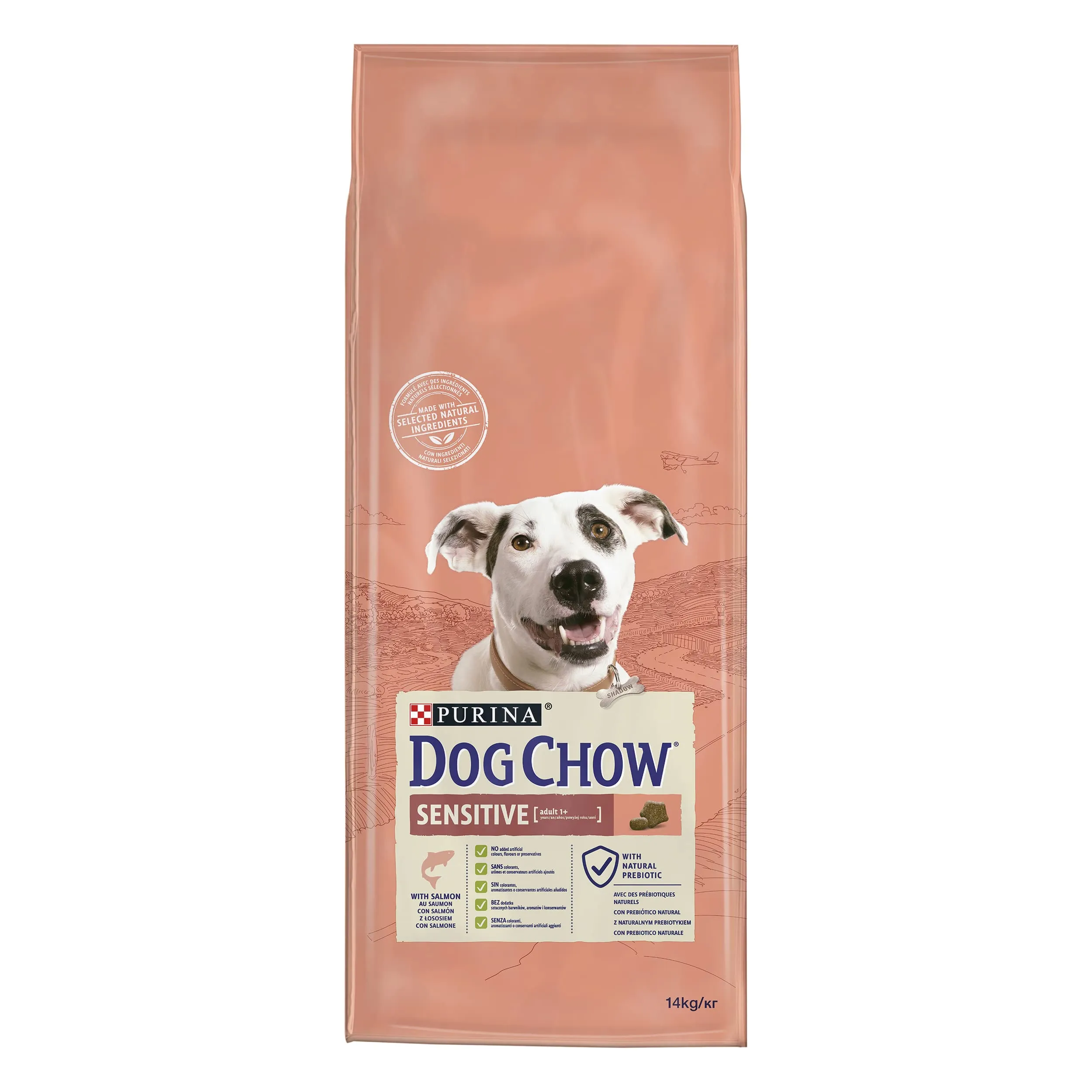 Purina Dog Chow Sensitive Cane Crocchette con Salmone, 14 kg - immagine 2