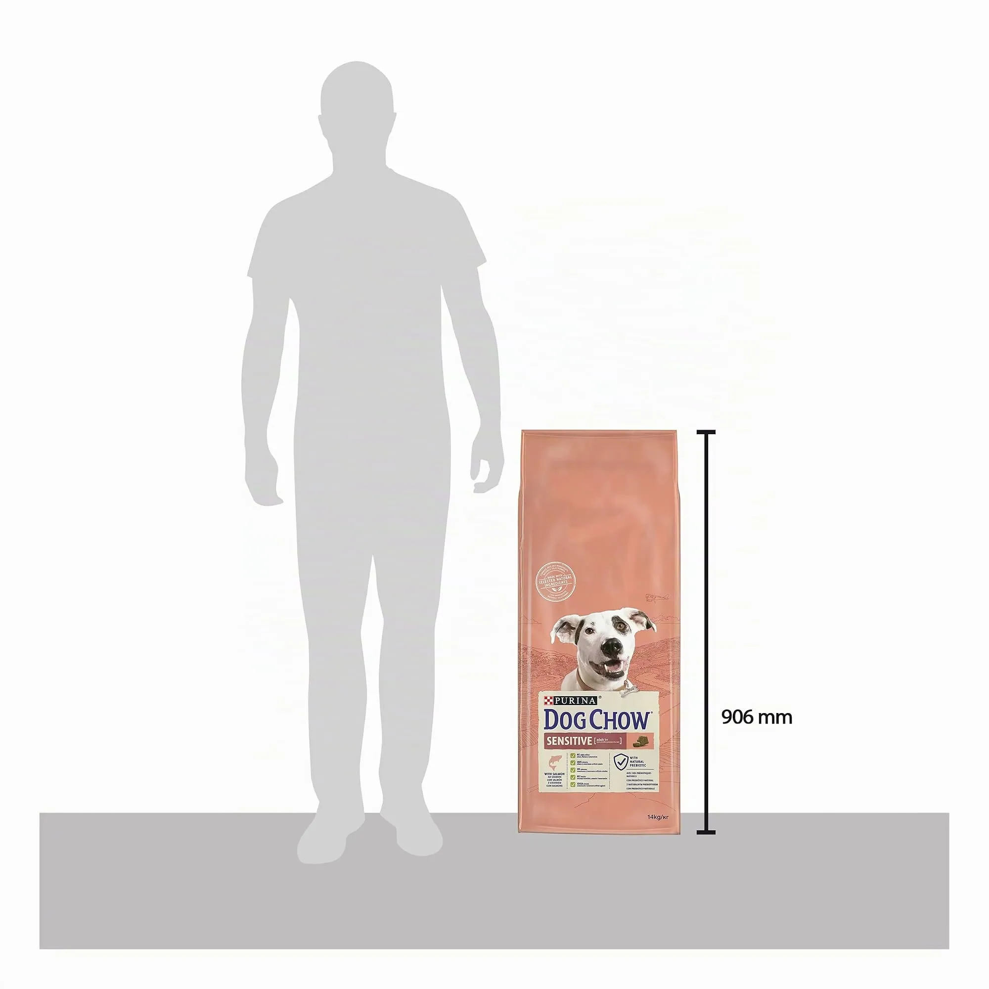 Purina Dog Chow Sensitive Cane Crocchette con Salmone, 14 kg - immagine 3