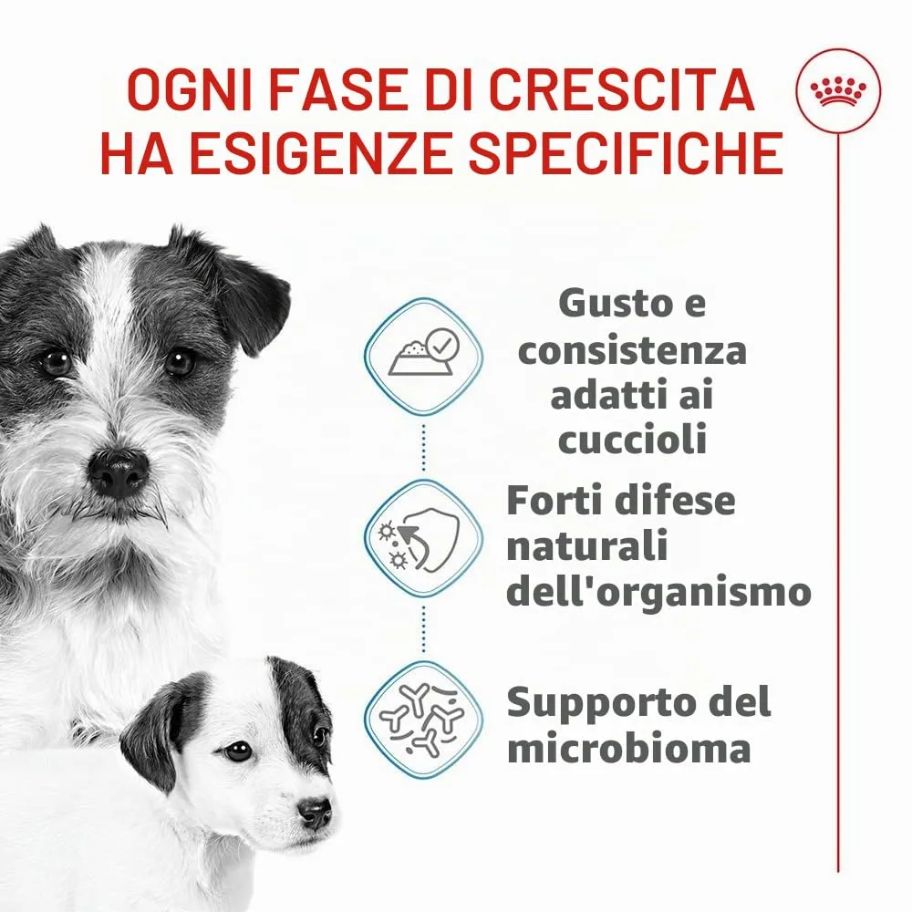 Royal Canin Starter Mousse Mother & Babydog, 12 x 195 g - immagine 2