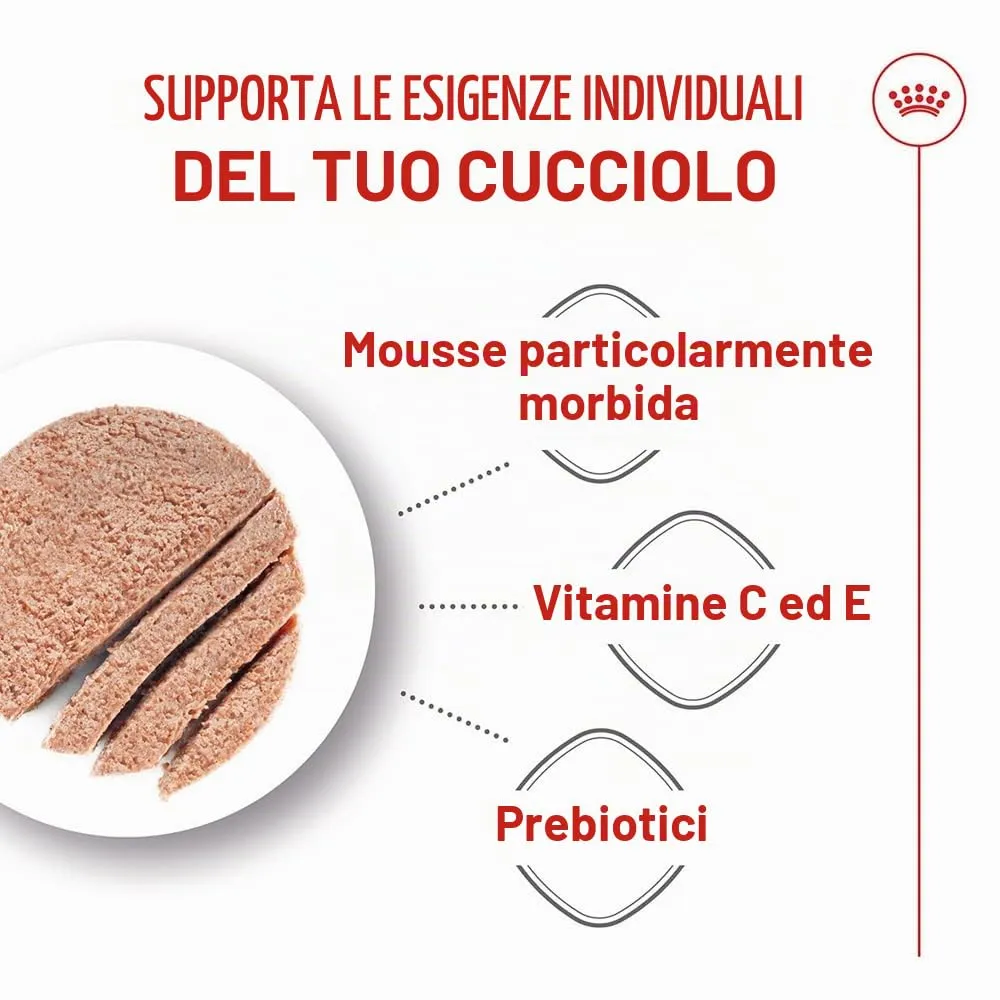 Royal Canin Starter Mousse Mother & Babydog, 12 x 195 g - immagine 3