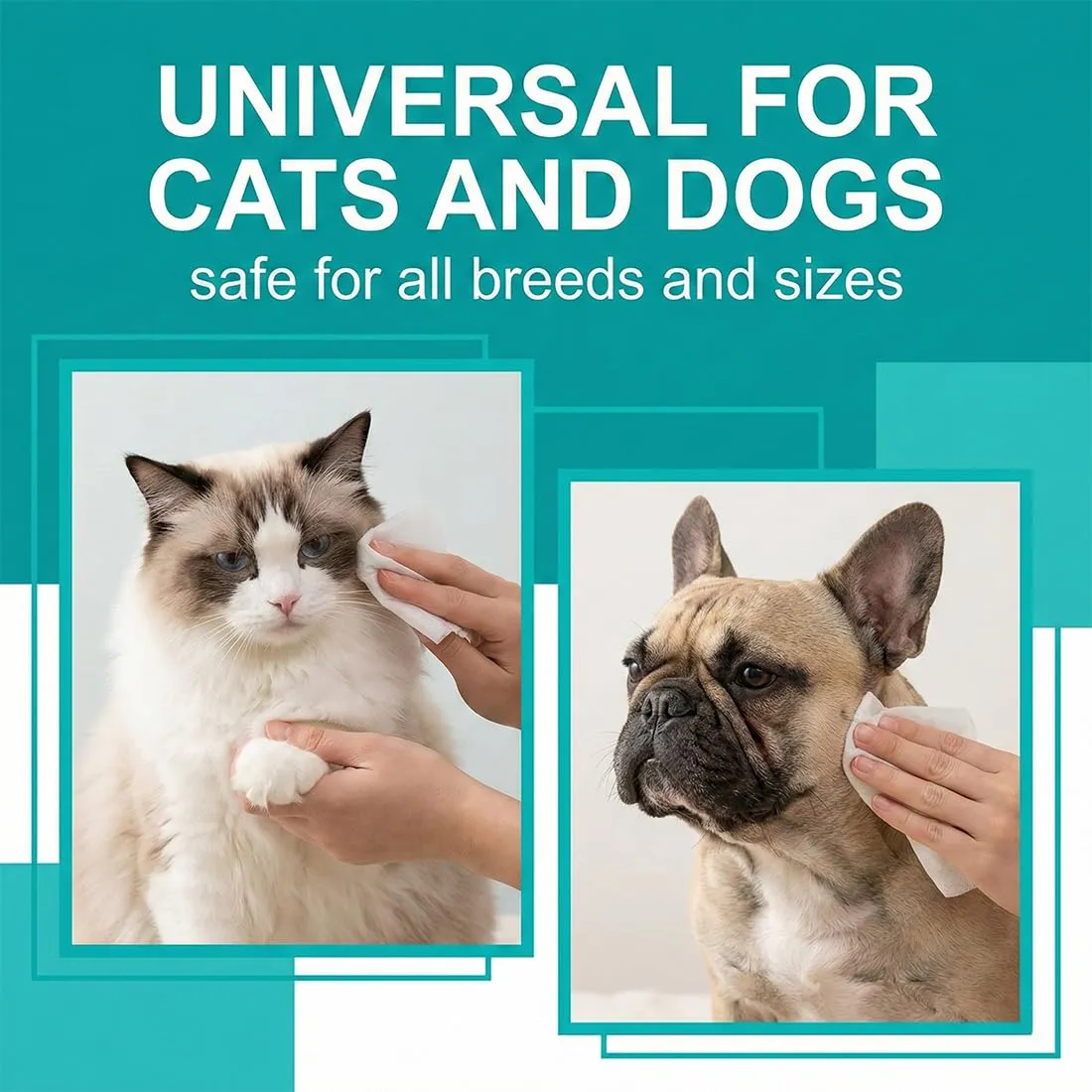 WeddHuis Salviettine Umidificate per Cani e Gatti, Ipoallergeniche e Detergenti, 80 Pezzi - immagine 4