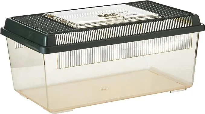 Exo Terra Reptilera Medium - immagine 5