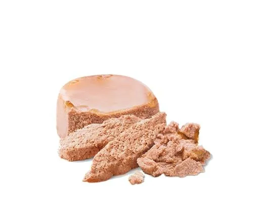 Royal Canin Starter Mousse Mother & Babydog, 12 x 195 g - immagine 3