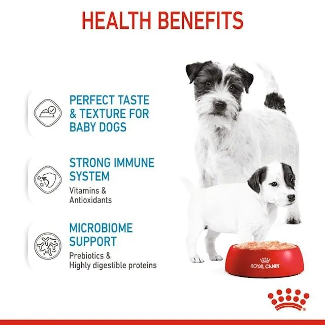 Royal Canin Starter Mousse Mother & Babydog, 12 x 195 g - immagine 4