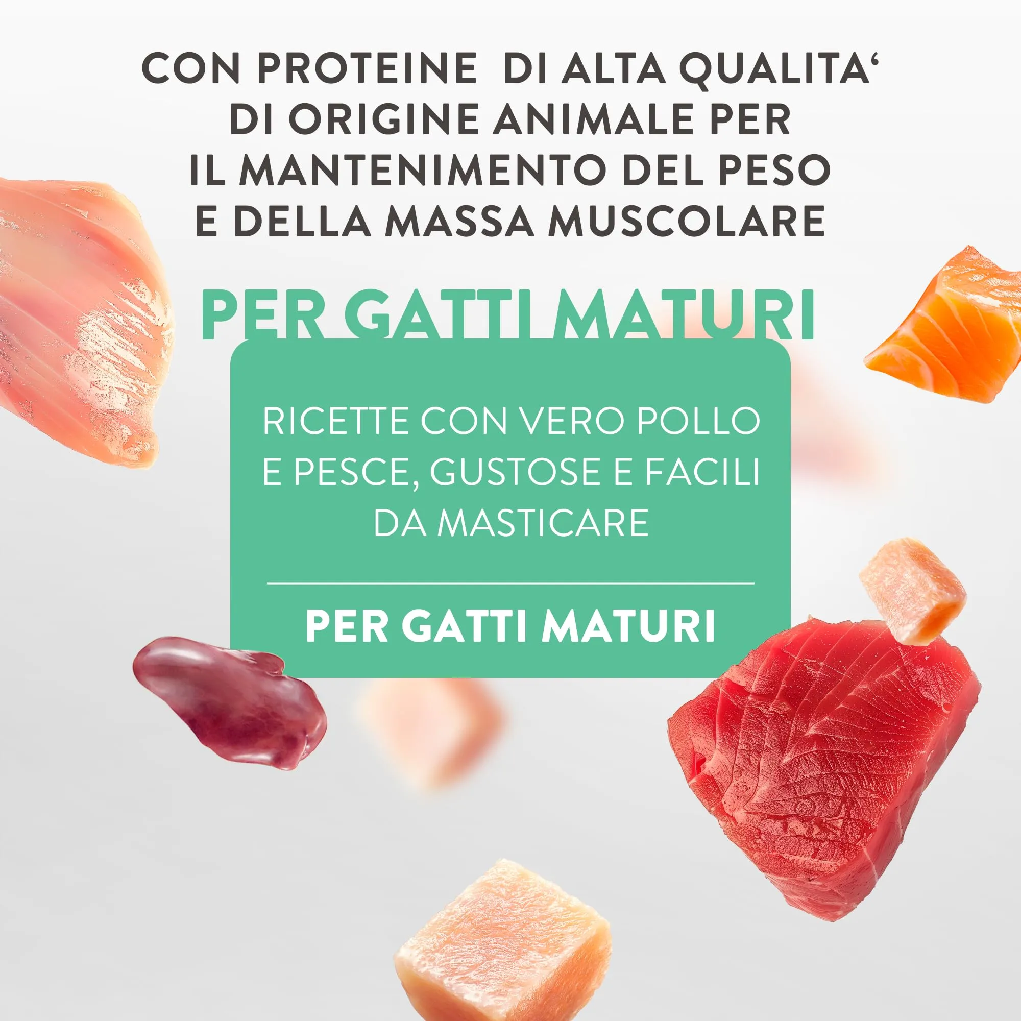 Schesir Silver Pollo con Anatra in Mousse e Filetti, Alimento Umido Completo per Gatti Anziani, Grain Free, 12 x 70g - immagine 8