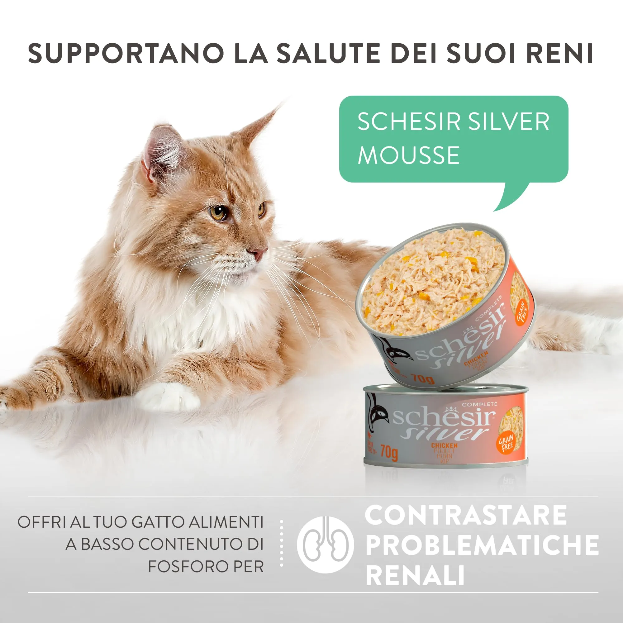 Schesir Silver Pollo con Anatra in Mousse e Filetti, Alimento Umido Completo per Gatti Anziani, Grain Free, 12 x 70g - immagine 9