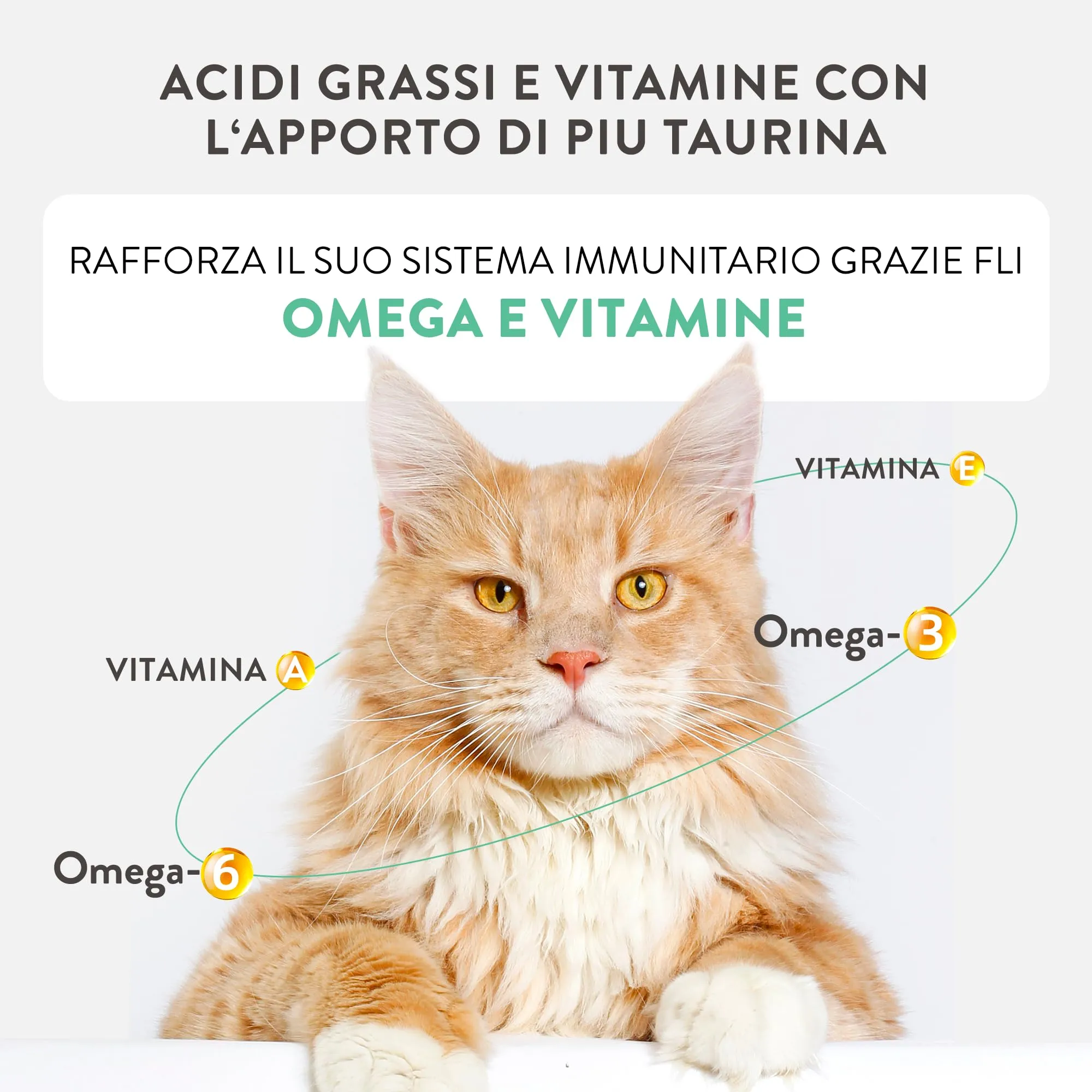 Schesir Silver Pollo con Anatra in Mousse e Filetti, Alimento Umido Completo per Gatti Anziani, Grain Free, 12 x 70g - immagine 10