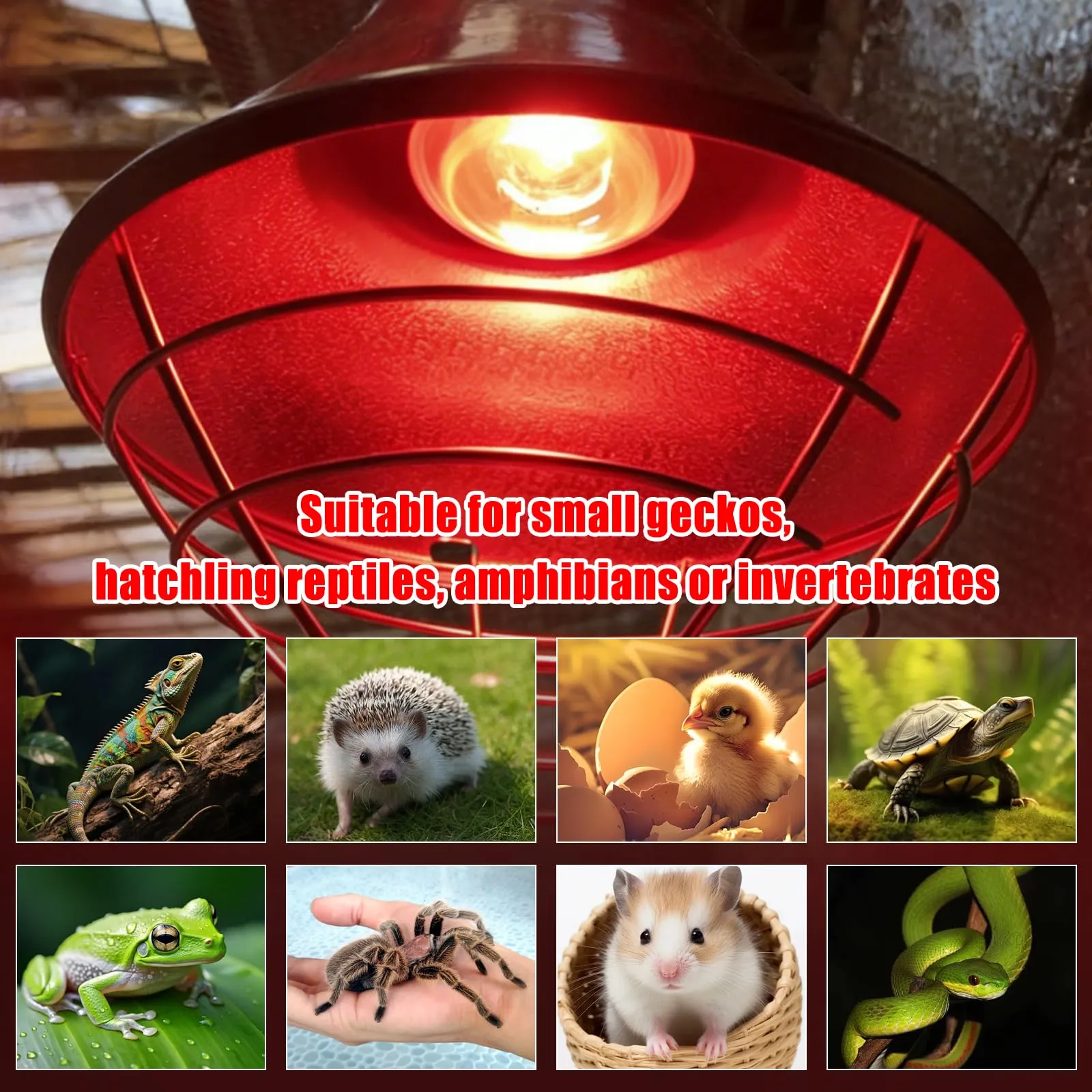 LedWekei Lampada riscaldante a infrarossi UVA/UVB per rettili, 100W, attacco E27, 2 pezzi - immagine 2
