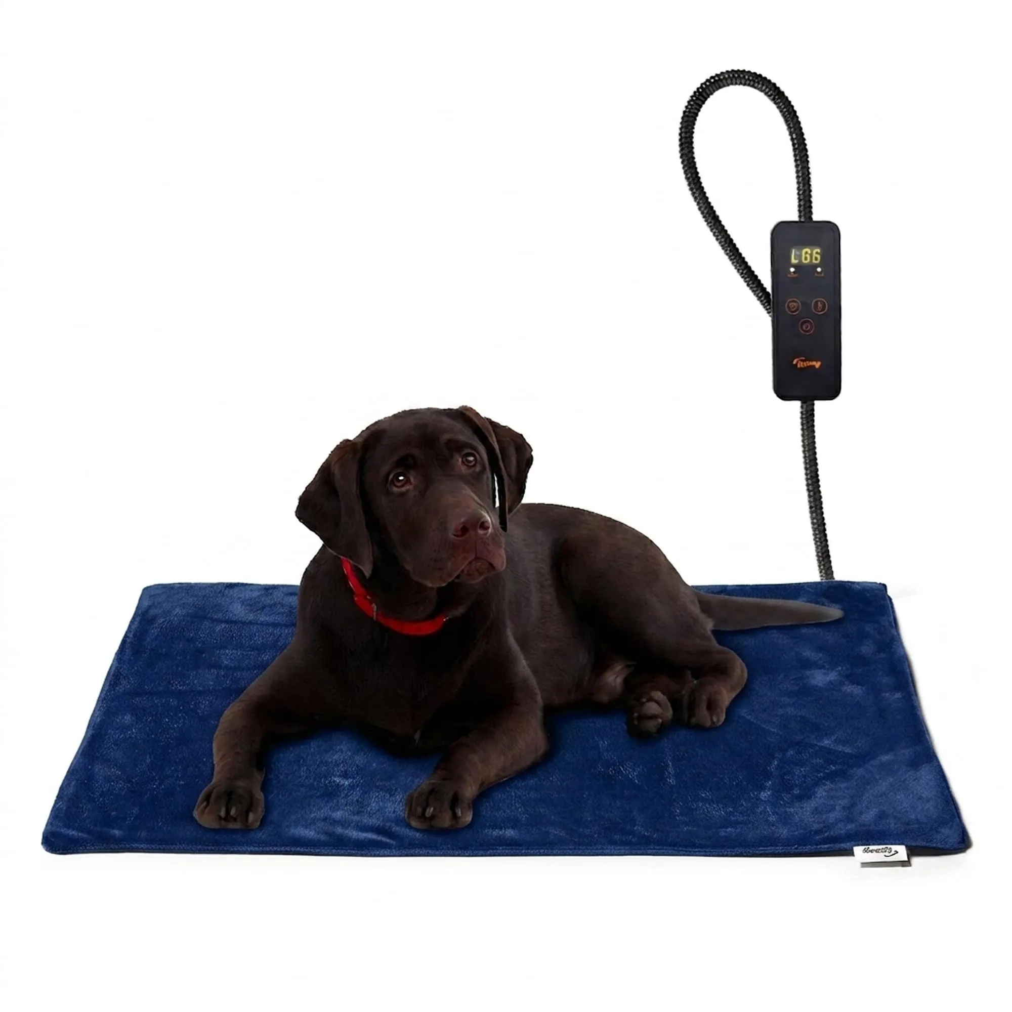 Toozey Tappetino Riscaldante per Cani e Gatti, Temperatura e Timer Regolabili, Blu - L (70 x 50cm) - immagine 1