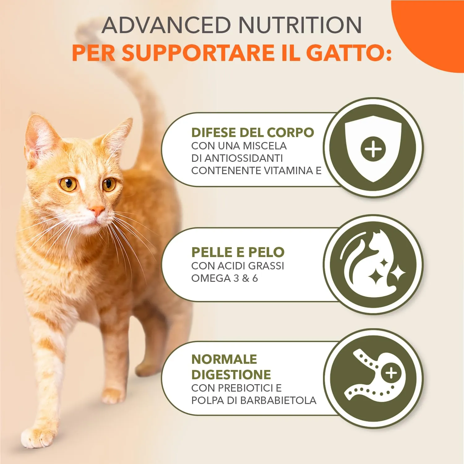 IAMS Cibo secco per gatti senza cereali al pesce, 7,5 kg - immagine 4