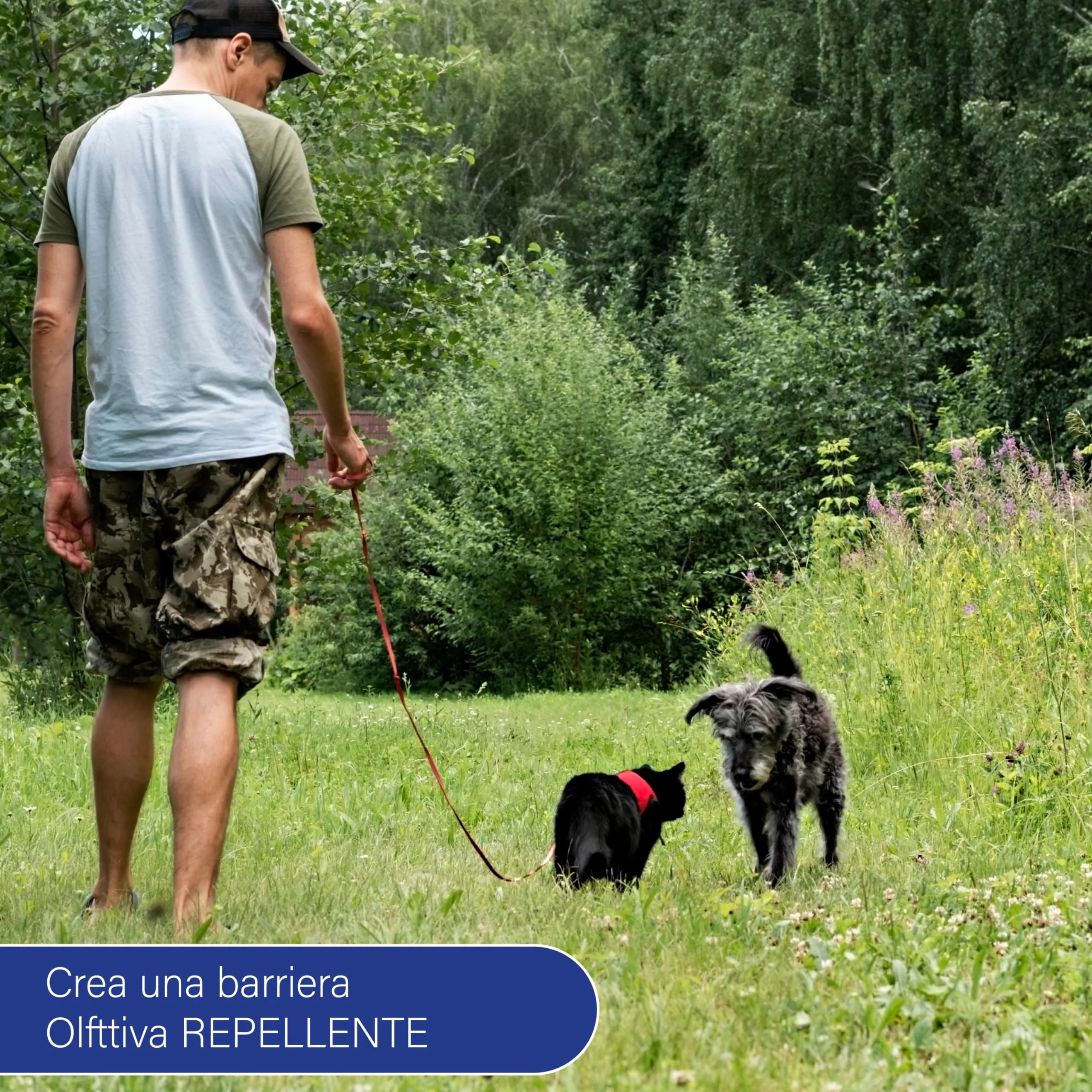 AGRI-CULTURA Disabituante Repellente per Cani e Gatti Anti-Urina, 1L - immagine 3