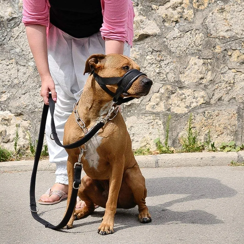 ILEPARK Museruola per Cane in Nylon con Anello Regolabile, Nero, L - immagine 6
