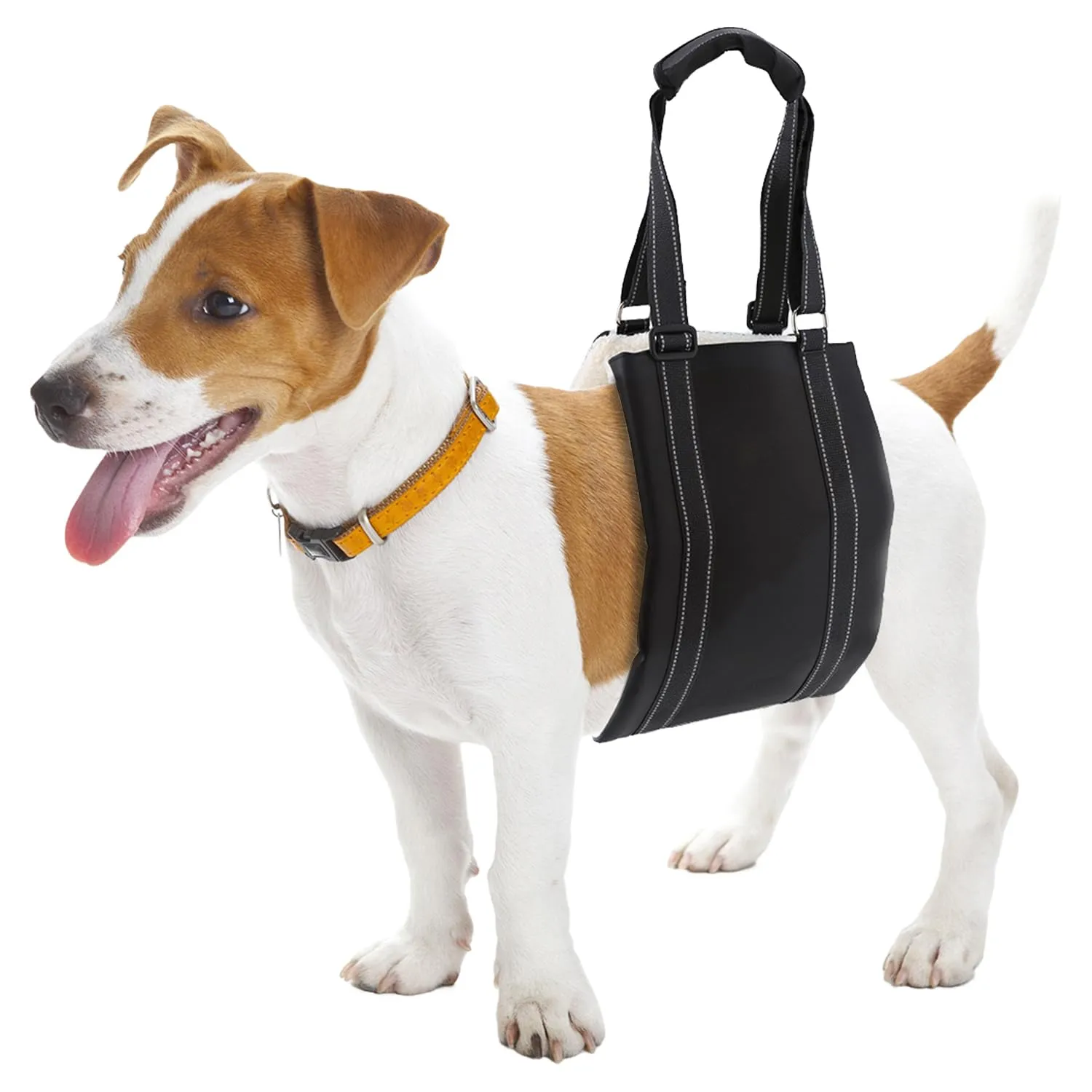 QWORK Imbracatura di Supporto per Sollevamento Cani, Fascia Regolabile per Mobilità Ridotta, 71 x 20 cm - immagine 6