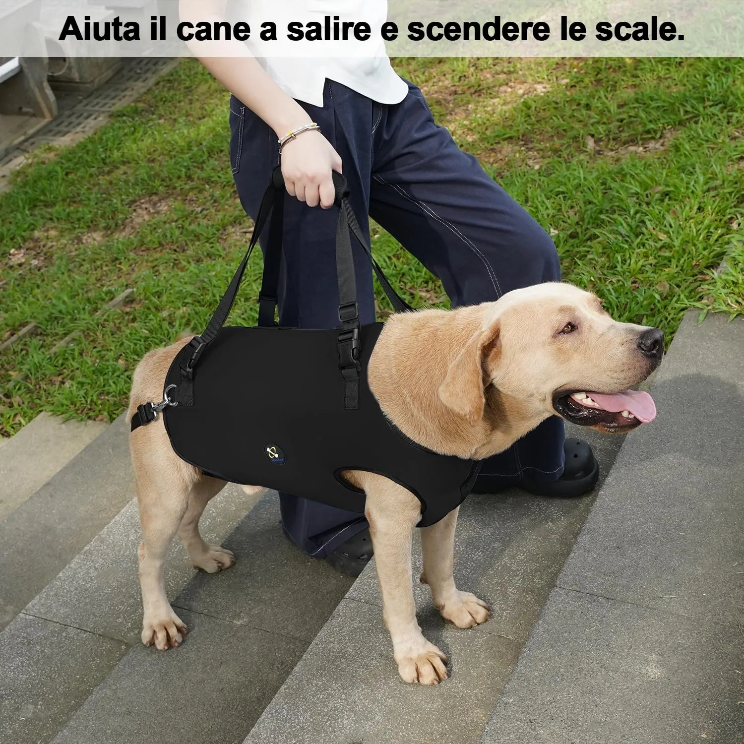 Coodeo Imbracatura per Cani, Sling di Supporto e Riabilitazione Regolabile (Nero, L) - immagine 4