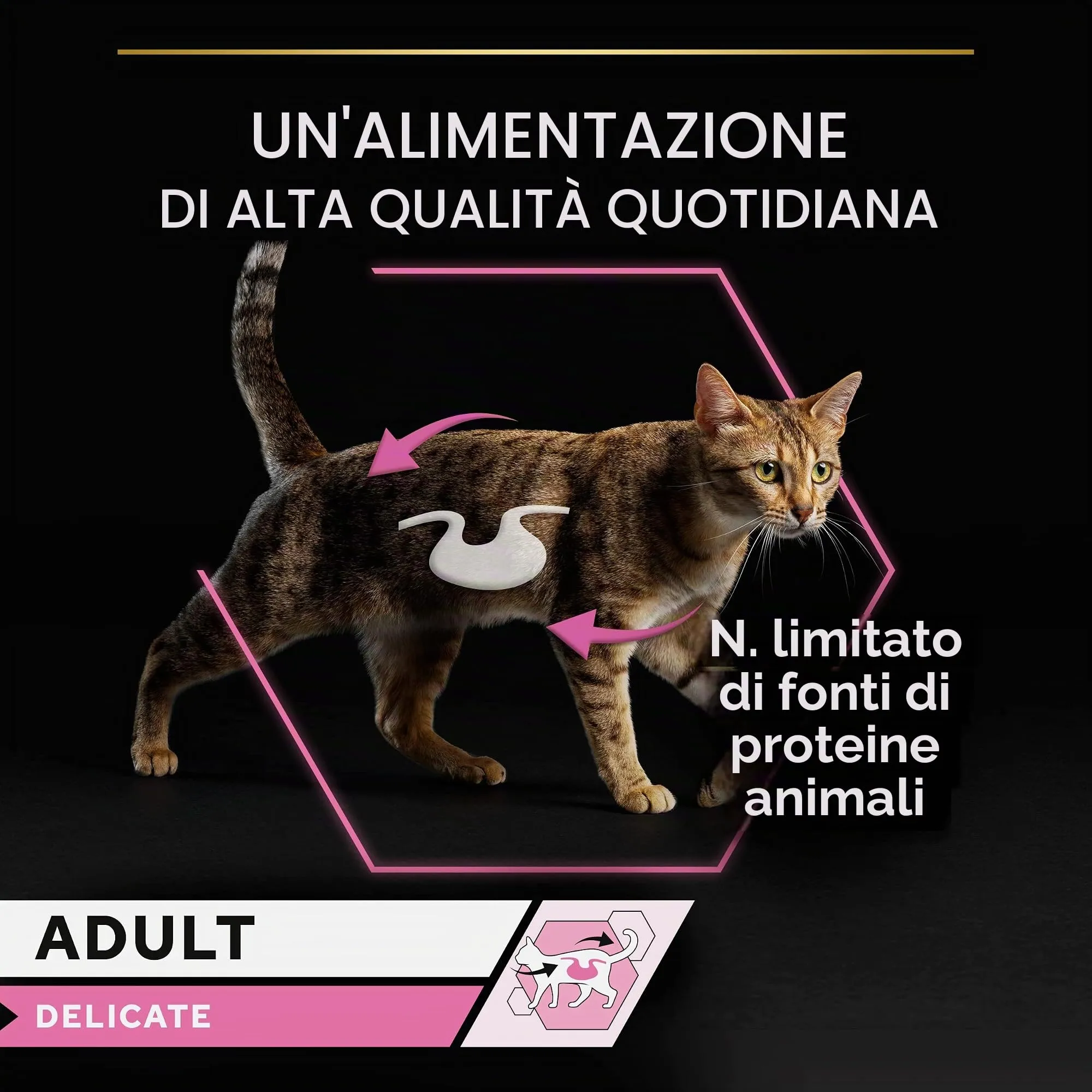 Purina Pro Plan Delicato Digestione Tacchino Adulto Wet Cat Food 10x85g - immagine 4