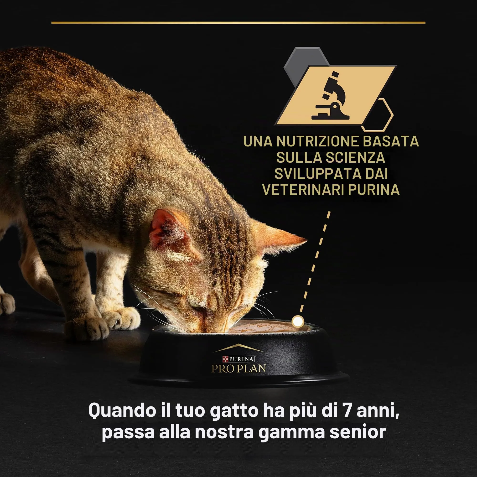 Purina Pro Plan Delicato Digestione Tacchino Adulto Wet Cat Food 10x85g - immagine 6