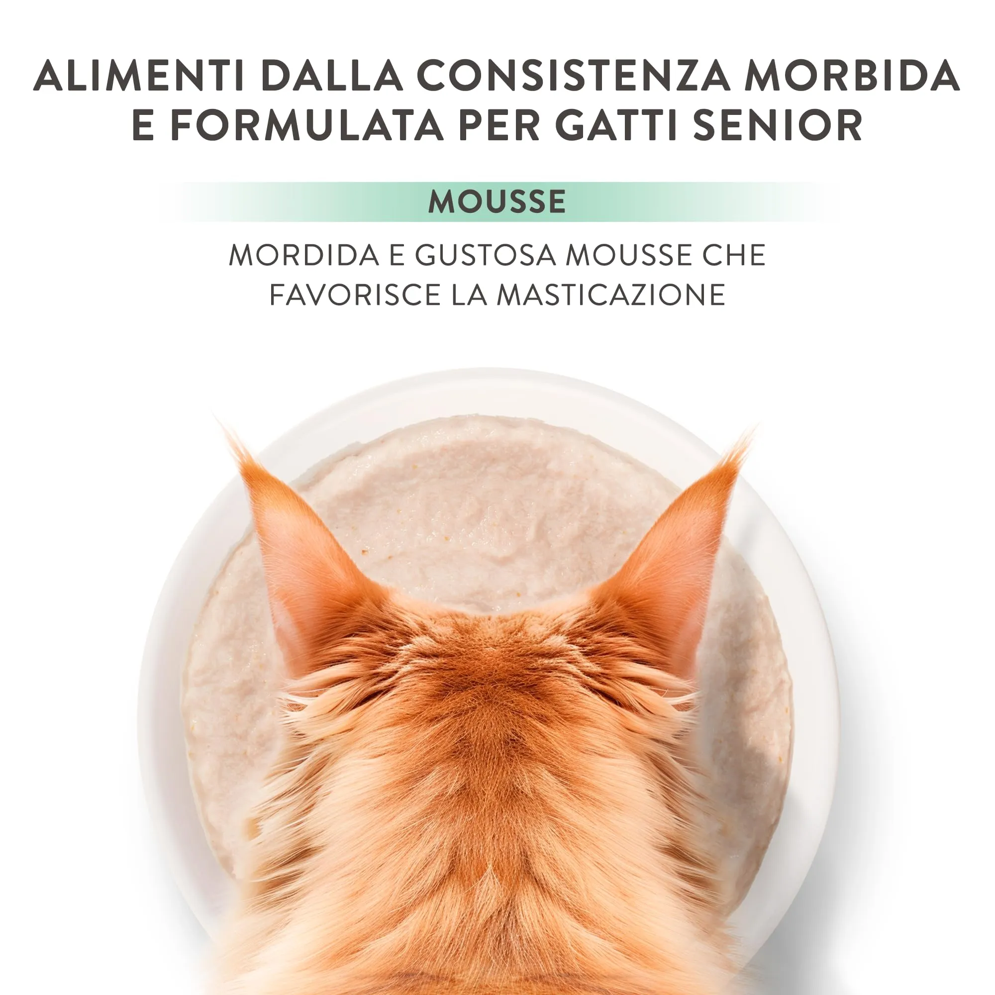 Schesir Silver Salmone in Mousse Alimento Umido Completo per Gatti Anziani Grain Free, 12 x 80 g - immagine 7
