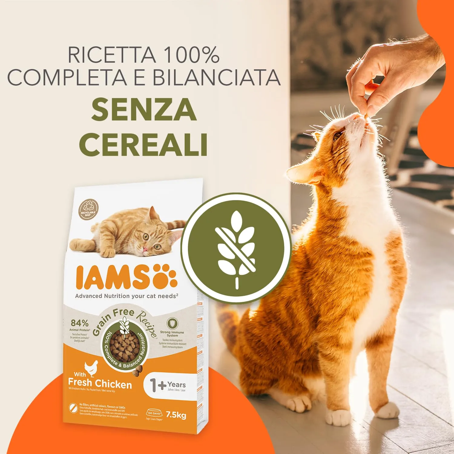 IAMS Cibo Secco per Gatti Senza Cereali al Pollo, 7,5 kg - immagine 2