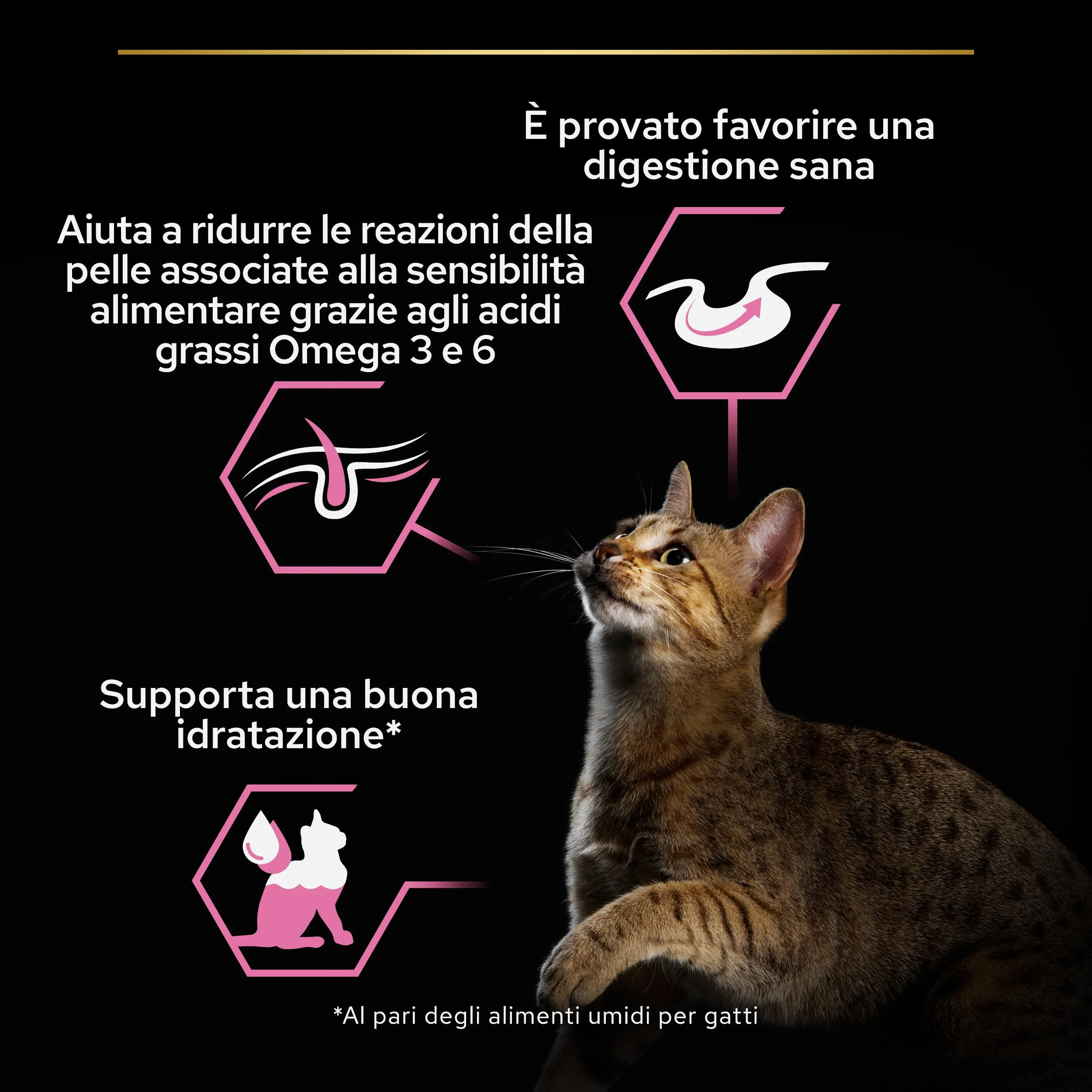 Purina Pro Plan Delicate Digestion Cibo Umido per Gatti Adulti Pezzettini in Salsa Pesce dell'oceano, 40 Bustine da 85g - immagine 3