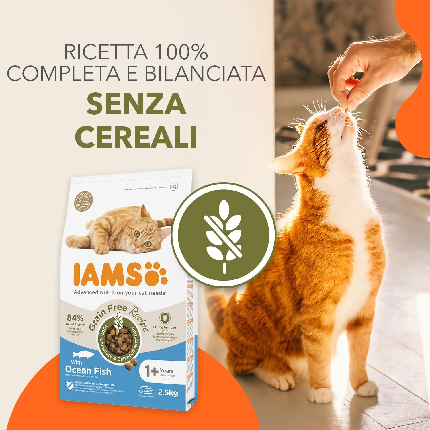 IAMS Cibo secco per gatti senza cereali al pesce, 2,5 kg - immagine 2