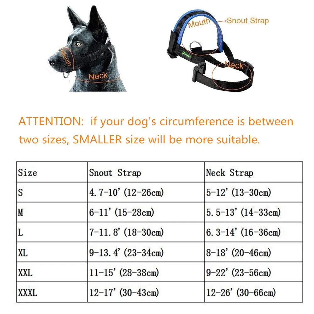 ILEPARK Museruola per Cane in Nylon con Anello Regolabile, Blu, XXL - immagine 3
