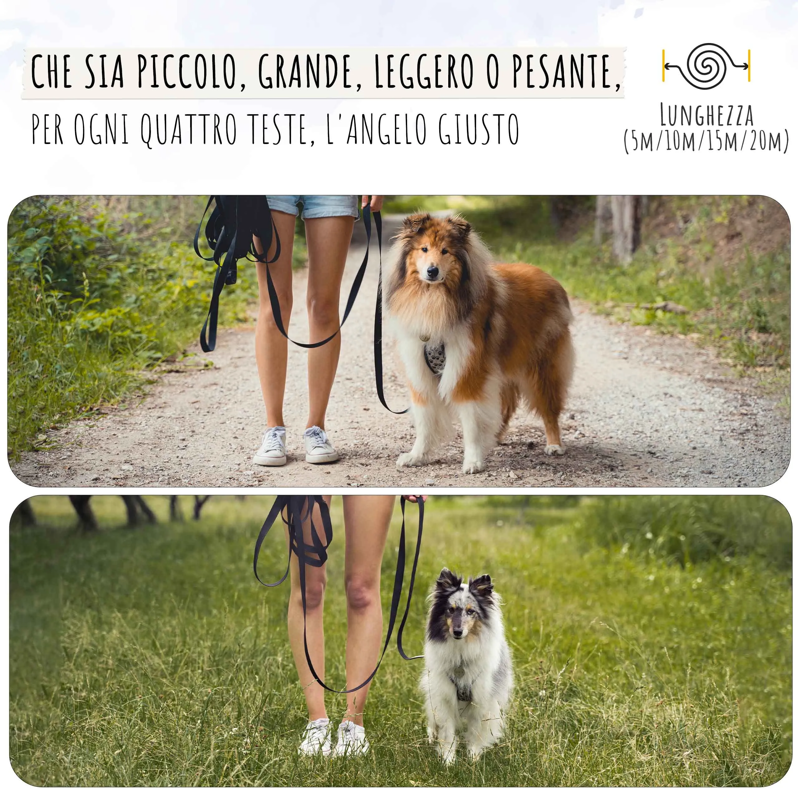Rudelkönig Lunghina Cane 5 Metri - Guinzaglio Addestramento per Cani - immagine 7