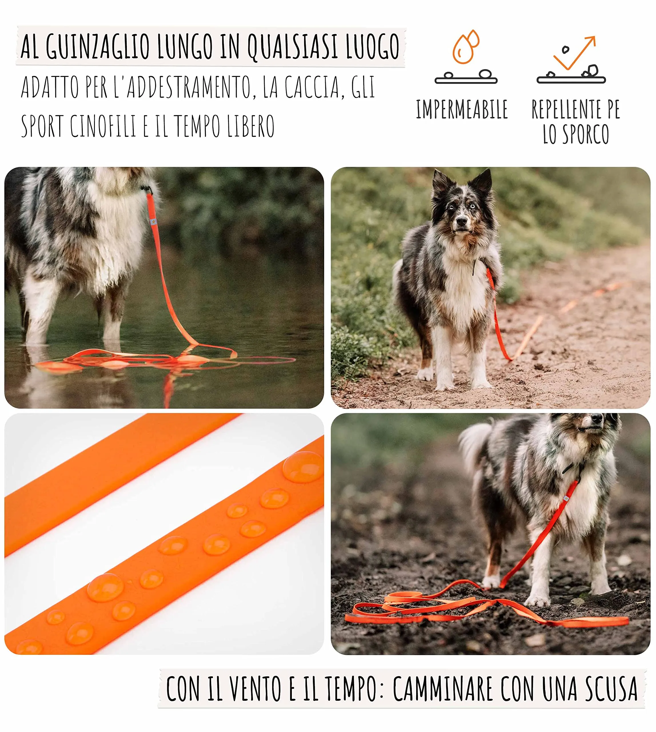 Rudelkönig Lunghina Cane 10 Metri - Guinzaglio Addestramento Nylon Arancione - immagine 2