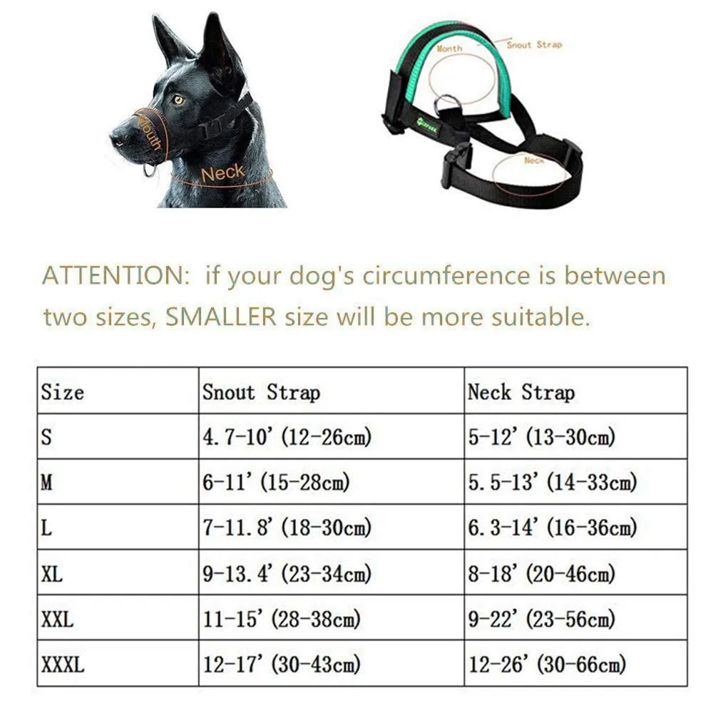 ILEPARK Museruola per cane in nylon, M, Verde - immagine 3