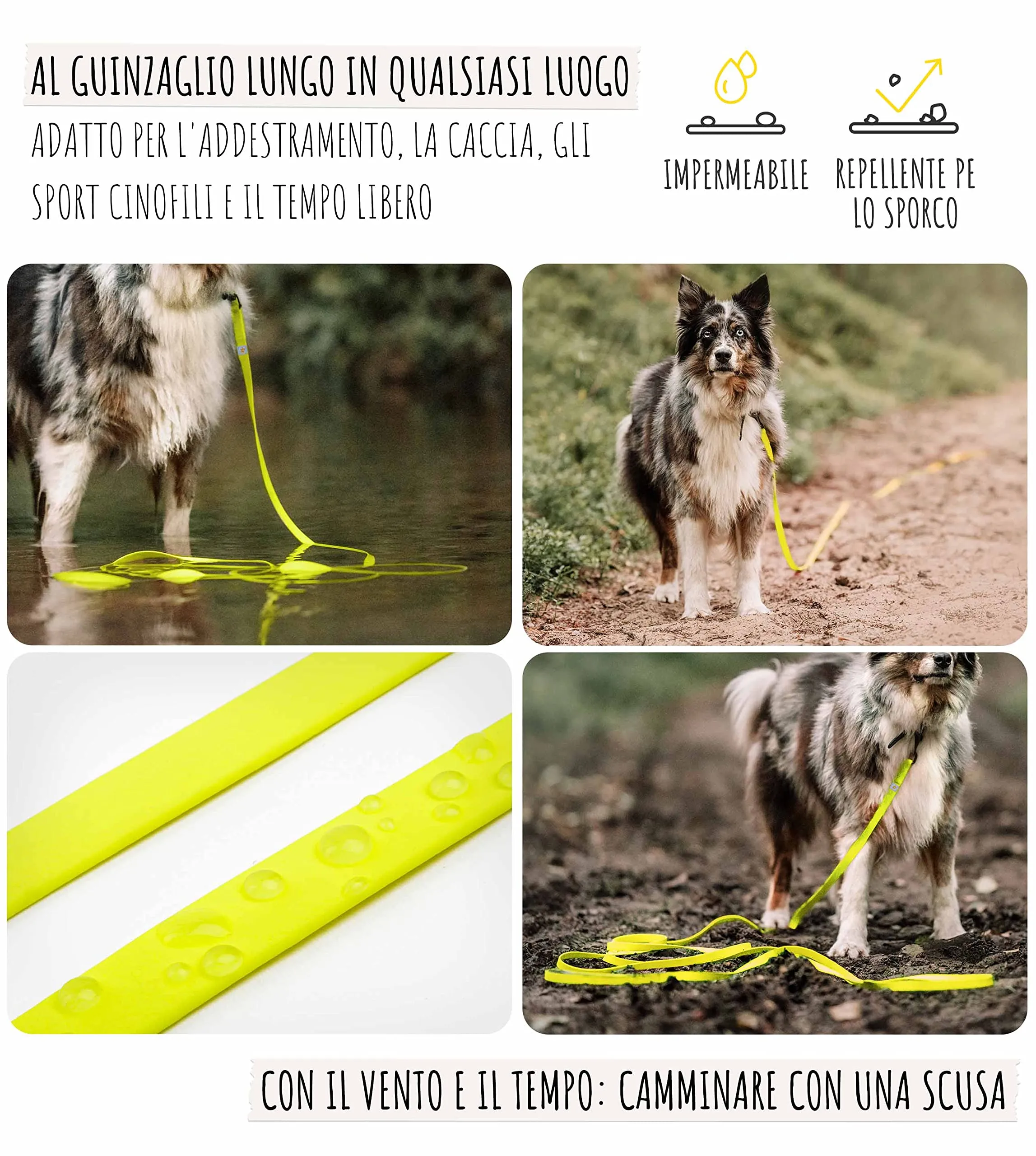 Rudelkönig Lunghina Cane 10 Metri - Guinzaglio Addestramento - immagine 2