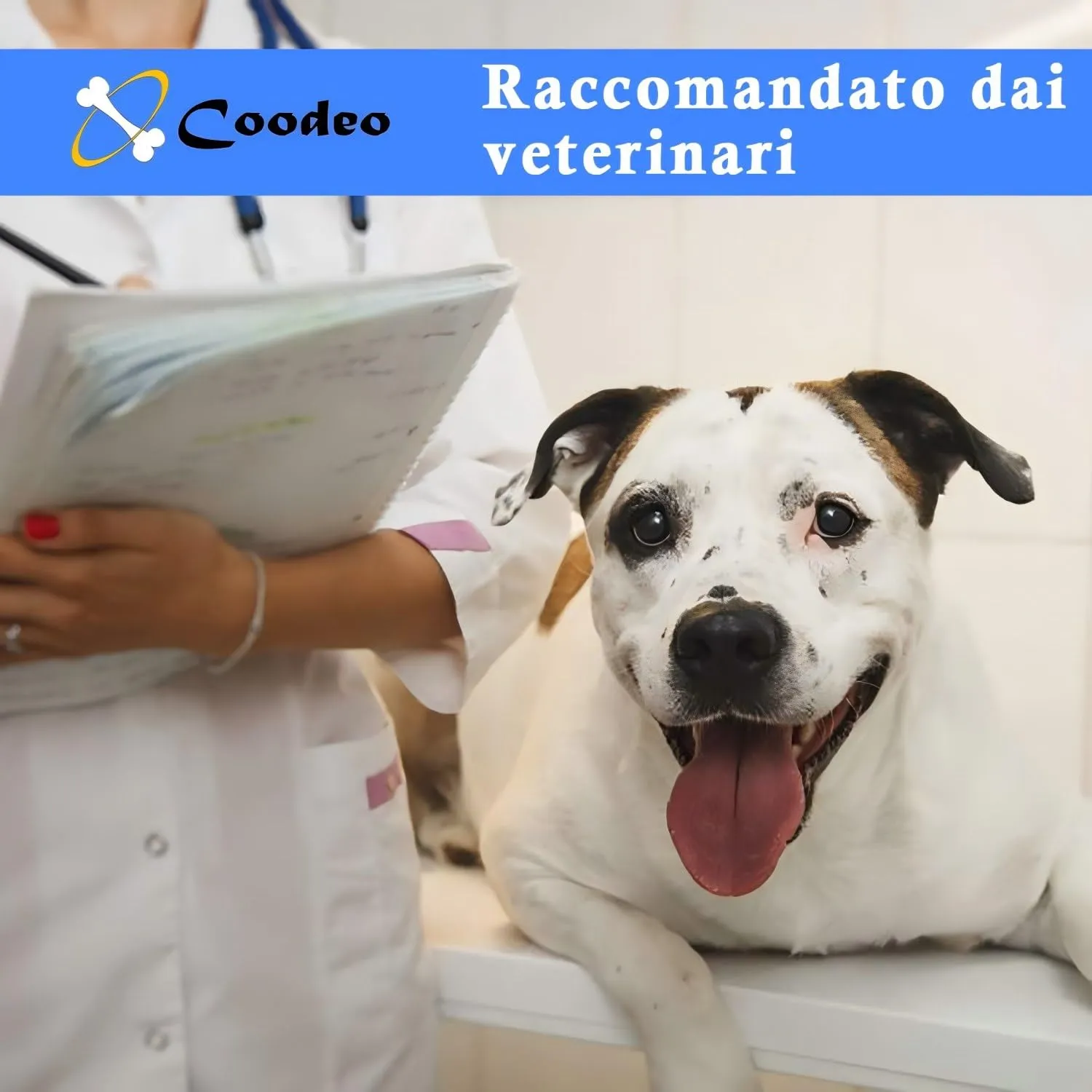Coodeo Imbracatura per Cani, Sling di Supporto e Riabilitazione Regolabile, Blu, L - immagine 3