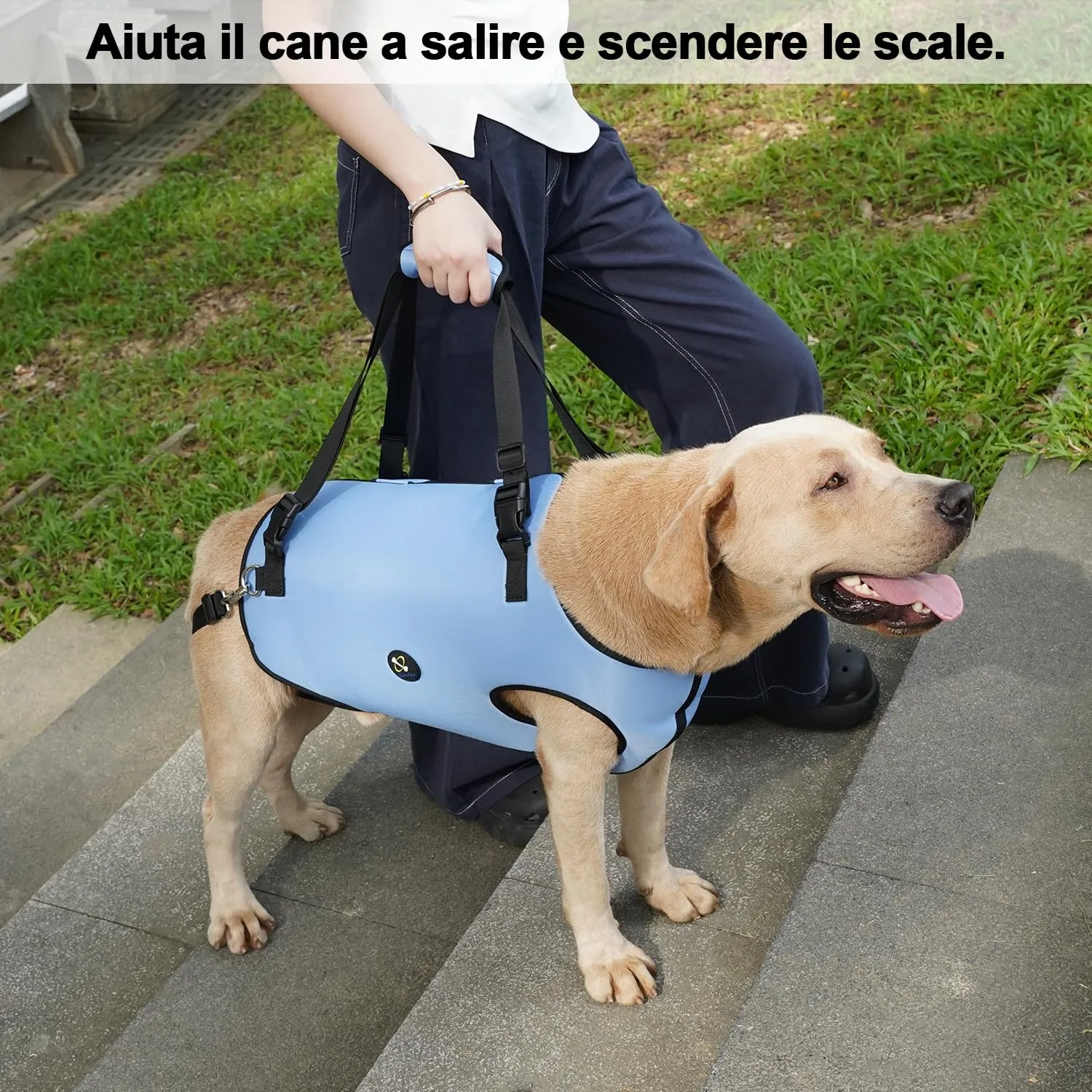 Coodeo Imbracatura per Cani, Sling di Supporto e Riabilitazione Regolabile, Blu, L - immagine 4