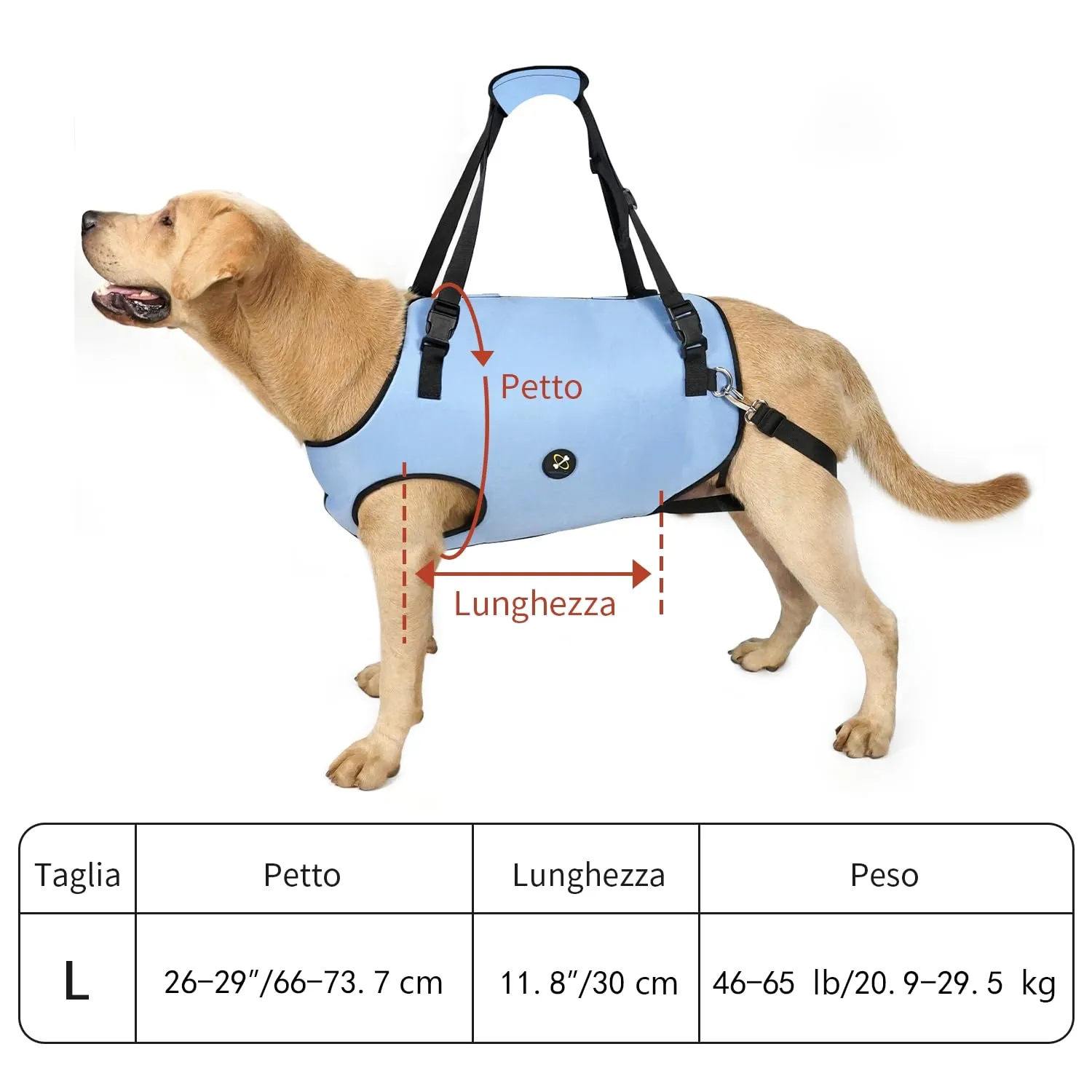 Coodeo Imbracatura per Cani, Sling di Supporto e Riabilitazione Regolabile, Blu, L - immagine 6