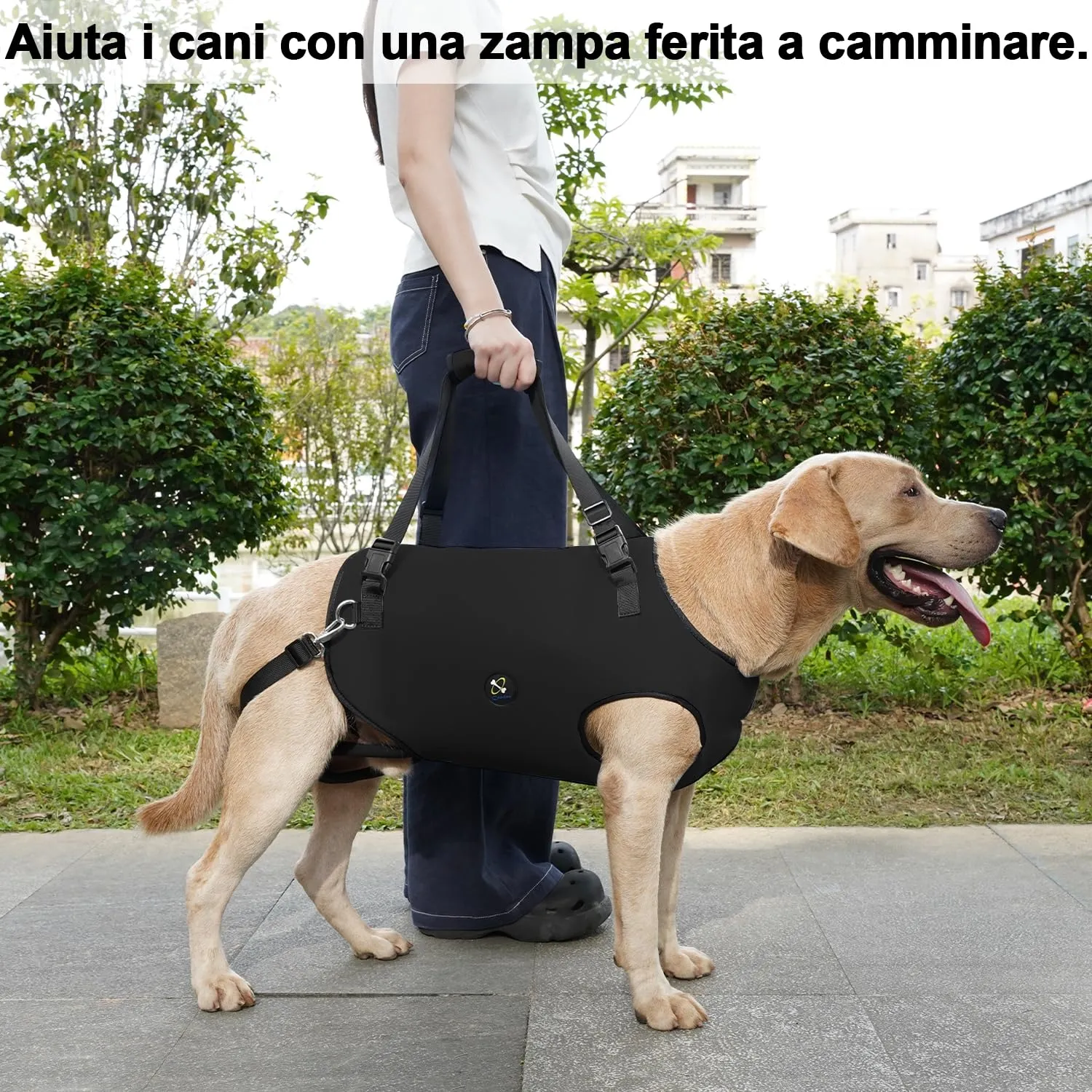 Coodeo Imbracatura per Cani, Sling di Supporto e Riabilitazione Regolabile, Nero, 2XL - immagine 7
