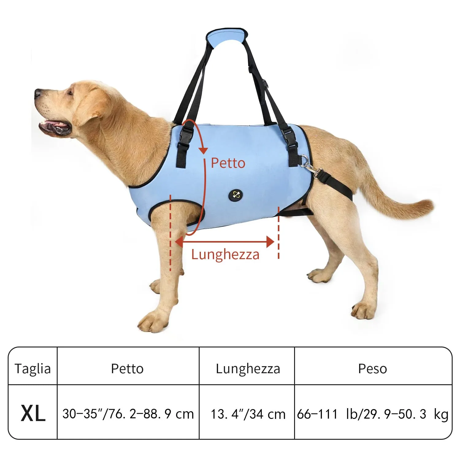Coodeo Imbracatura di Supporto e Riabilitazione per Cani, Regolabile, Blu, XL - immagine 6