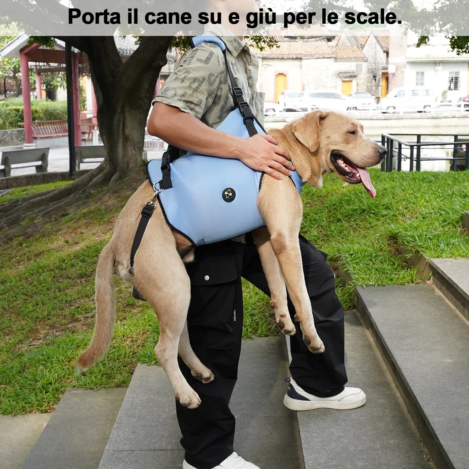 Coodeo Imbracatura per Cani, Sling di Supporto e Riabilitazione Regolabile, Blu, 2XL - immagine 2
