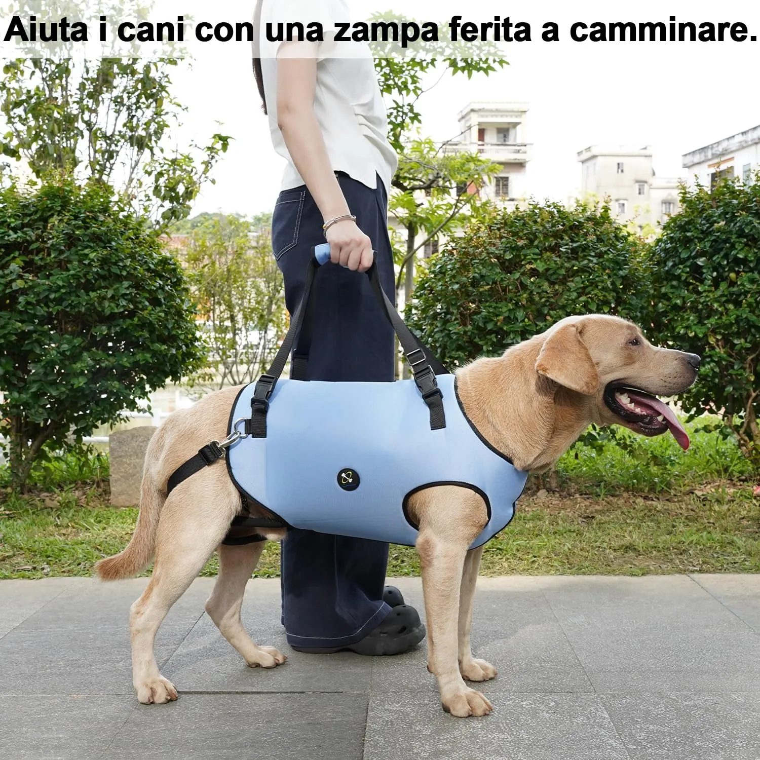 Coodeo Imbracatura per Cani, Sling di Supporto e Riabilitazione Regolabile (Blu, M) - immagine 7