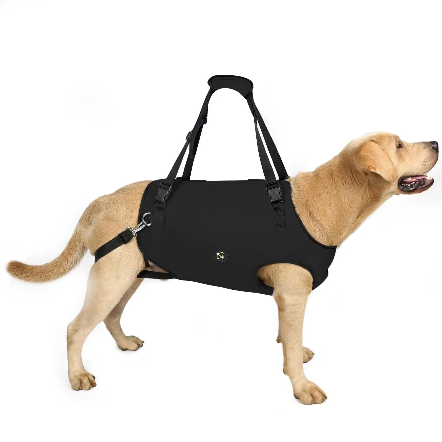 Coodeo Imbracatura per Cani, Sling di Supporto e Riabilitazione Regolabile, Nero, XS - immagine 1
