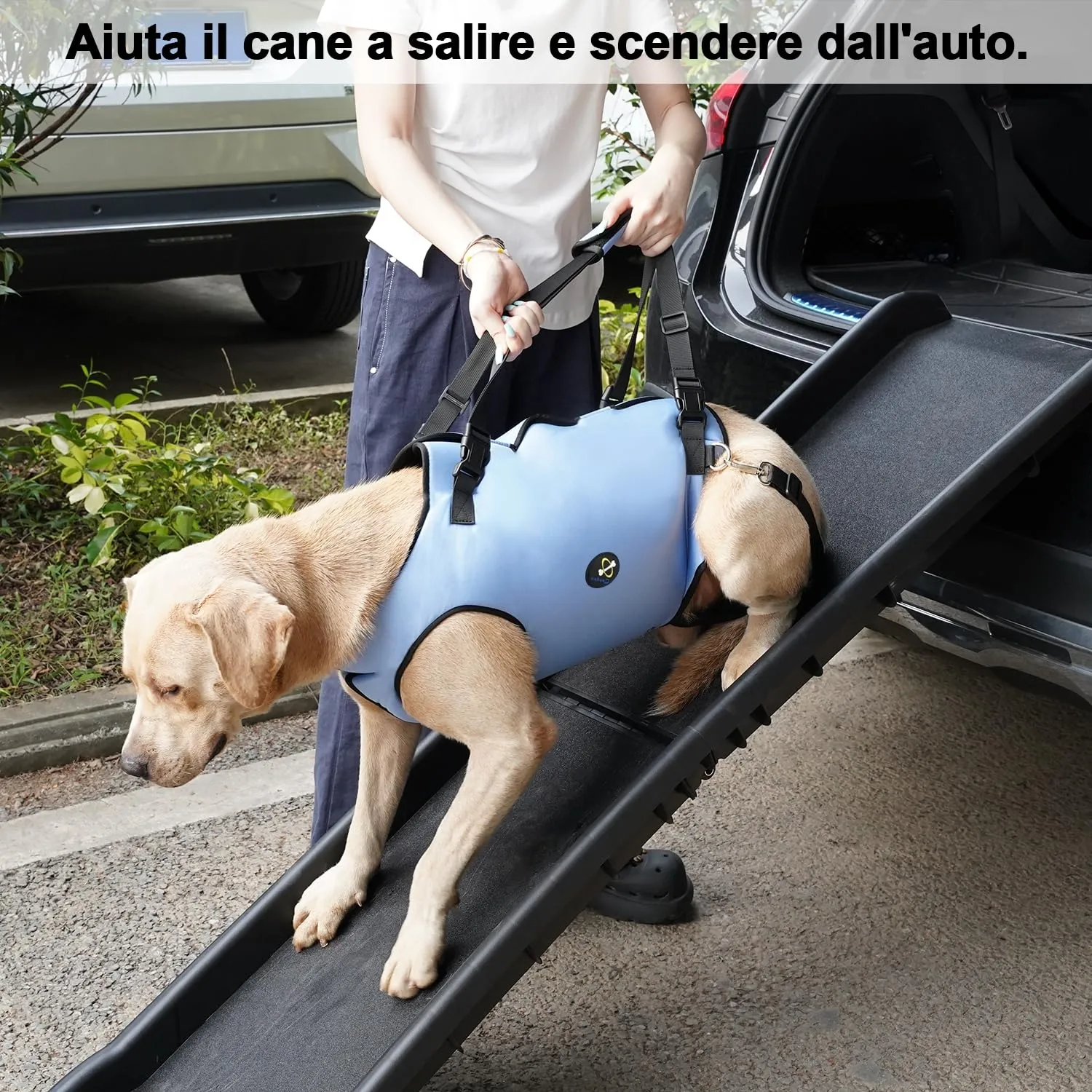 Coodeo Imbracatura per Cani, Sling di Supporto e Riabilitazione Regolabile (Blu, XS) - immagine 5