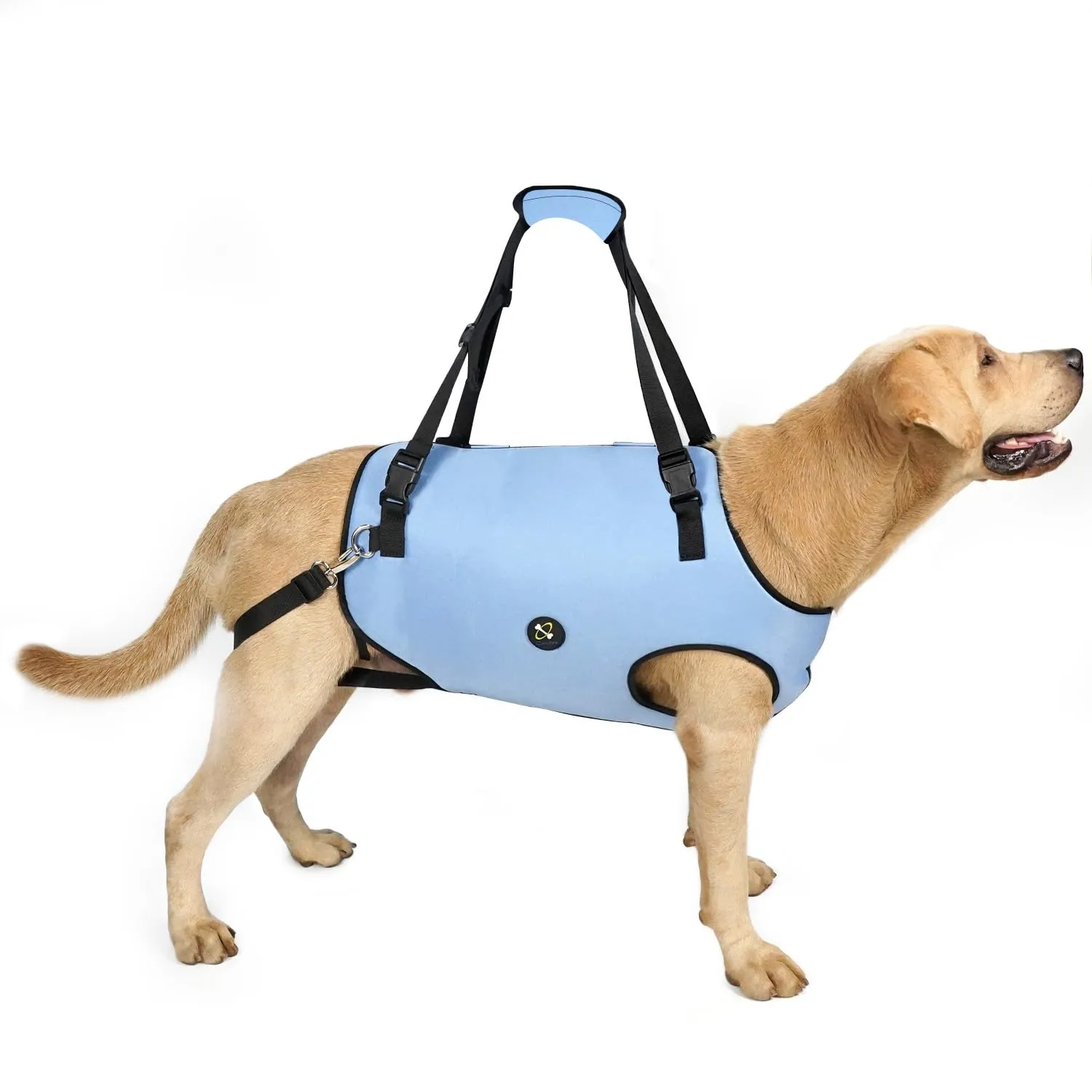 Coodeo Imbracatura per Cani, Sling di Supporto e Riabilitazione Regolabile, Blu, S - immagine 1