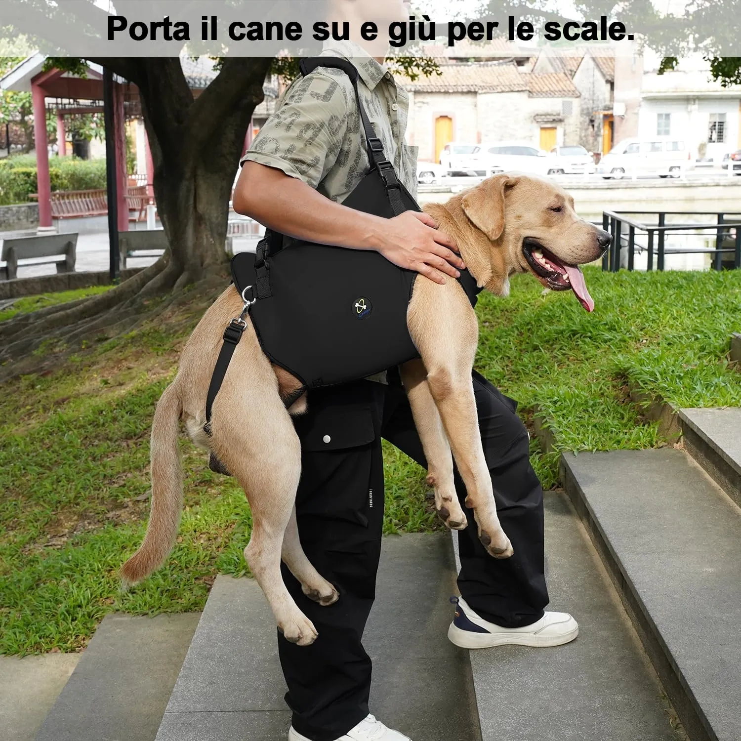 Coodeo Imbracatura per Cani, Sling di Supporto e Riabilitazione Regolabile, Nero, S - immagine 2
