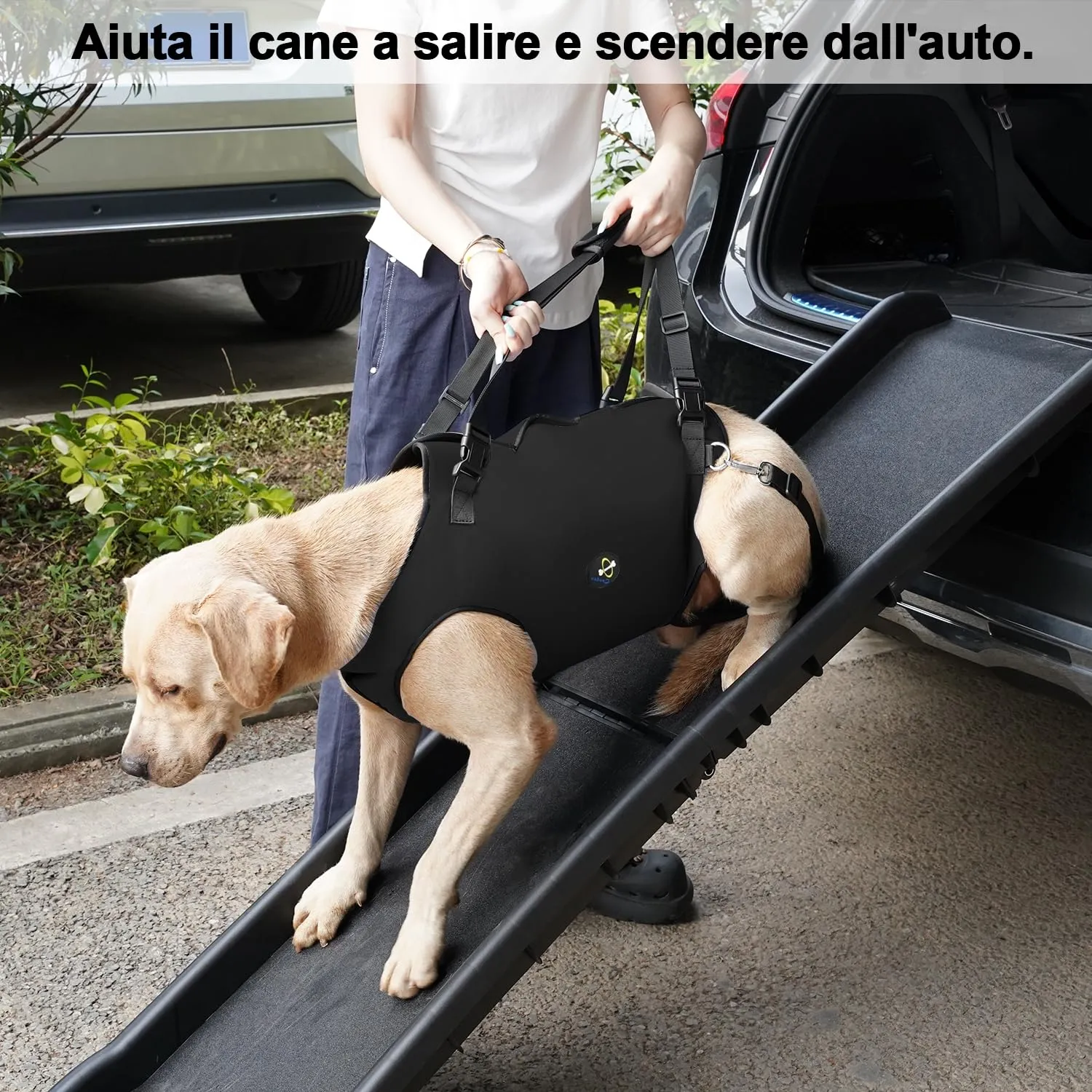 Coodeo Imbracatura per Cani, Sling di Supporto e Riabilitazione Regolabile, Nero, S - immagine 5