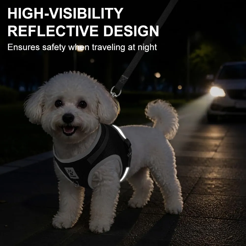 OSDUE Pettorina per Cani e Gatti con Guinzaglio, Regolabile e Riflettente, XL - immagine 4