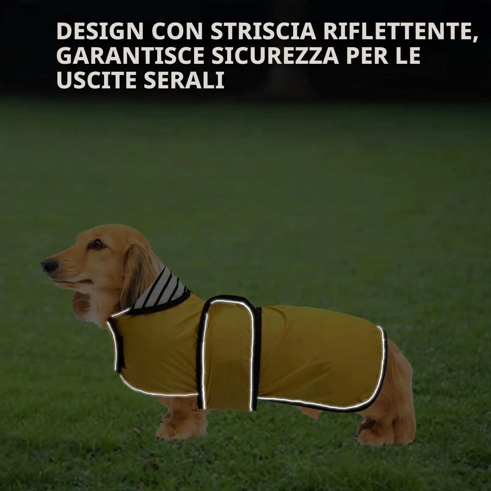 Geyecete Cappotto Impermeabile per Bassotto e Cani di Piccola e Media Taglia, Giacca Riflettente con Cintura Regolabile - Giallo, S - immagine 4