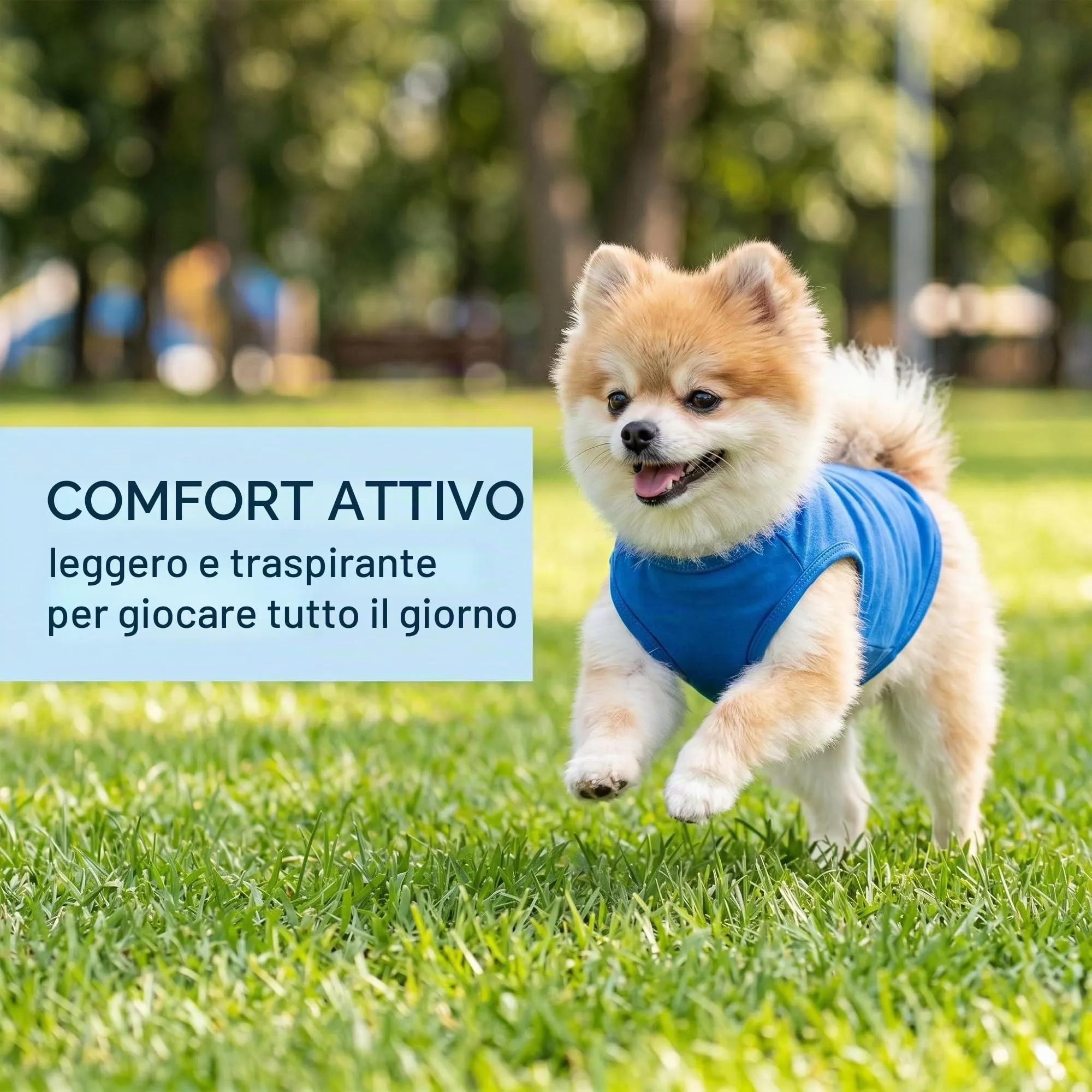 MYZWEL Canotte Estive in Cotone per Cani Piccoli e Gatti, Set da 3 Gilet Senza Maniche (Blu, Bianco, Nero), Taglia M - immagine 2