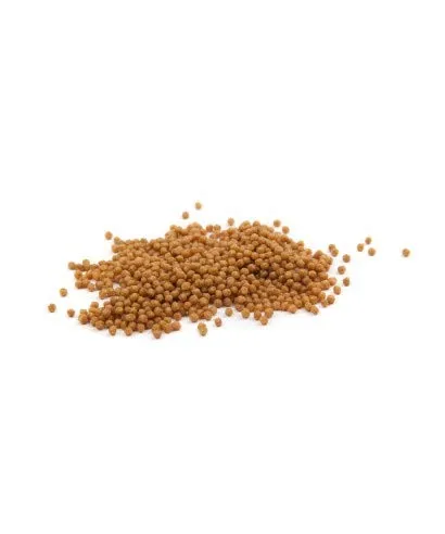 Psittacus Minor Mangime Completo per Agapornis, Forpus e Pyrrhura, 12 kg - immagine 2