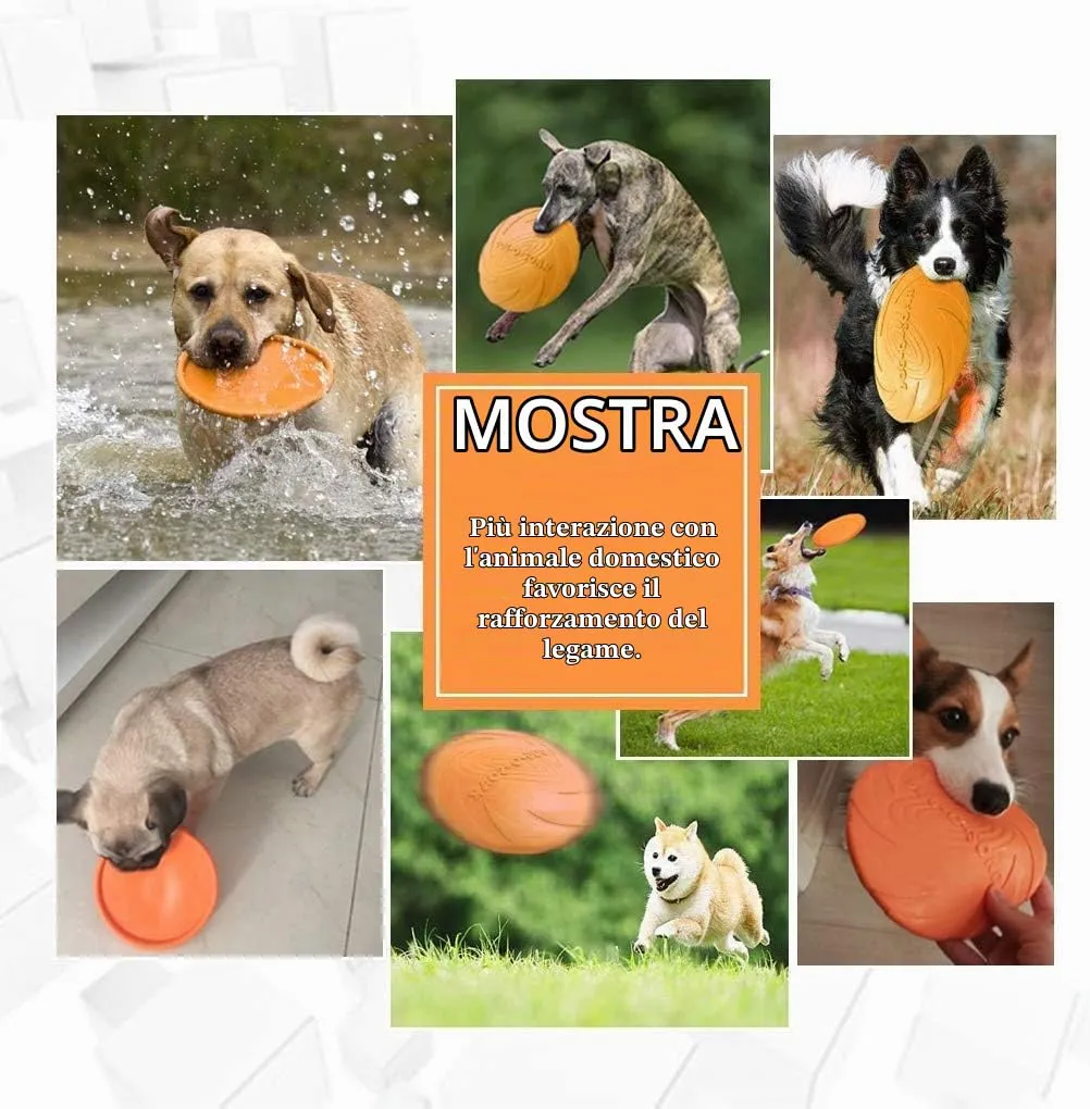 WELLXUNK Frisbee per Cani in Gomma, Set da 2 Pezzi, 15 cm - immagine 4