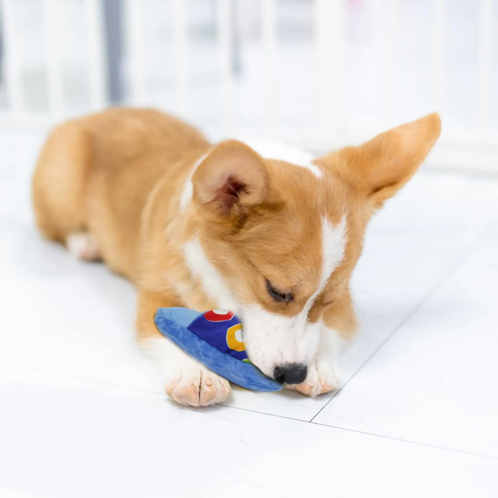 FuninCrea Giocattolo di Peluche a Forma di Pantofola per Cani e Cuccioli, Giocattolo Interattivo da Masticare Durevole - immagine 6