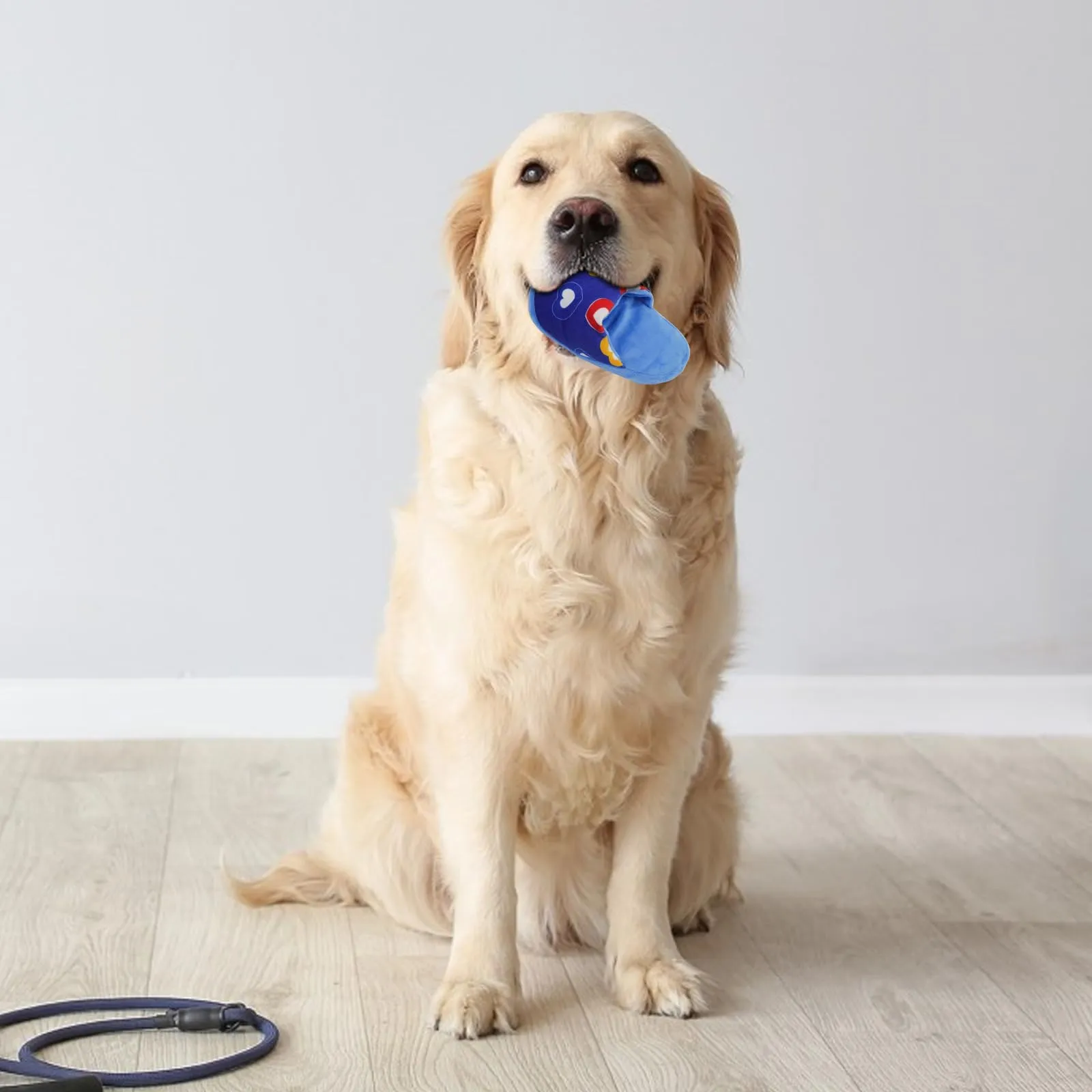 FuninCrea Giocattolo di Peluche a Forma di Pantofola per Cani e Cuccioli, Giocattolo Interattivo da Masticare Durevole - immagine 7