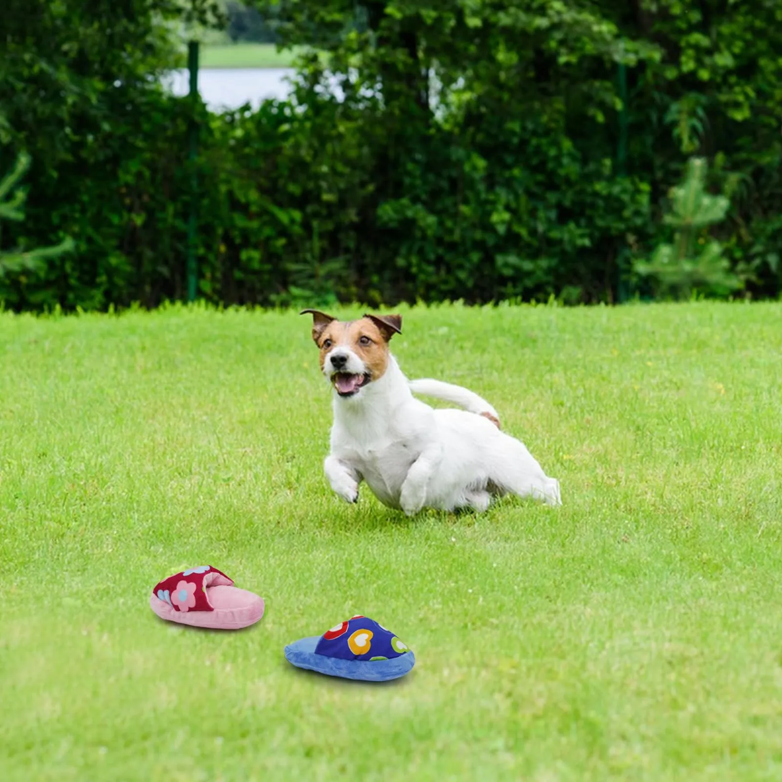 FuninCrea Giocattolo di Peluche a Forma di Pantofola per Cani e Cuccioli, Giocattolo Interattivo da Masticare Durevole - immagine 8