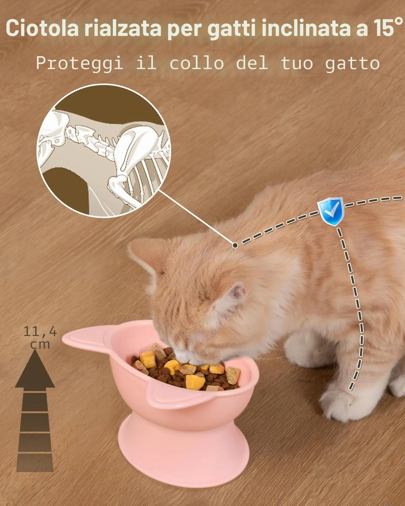 MateeyLife Ciotole per Gatti Rialzate, Set da 2, Rosa e Verde - immagine 2